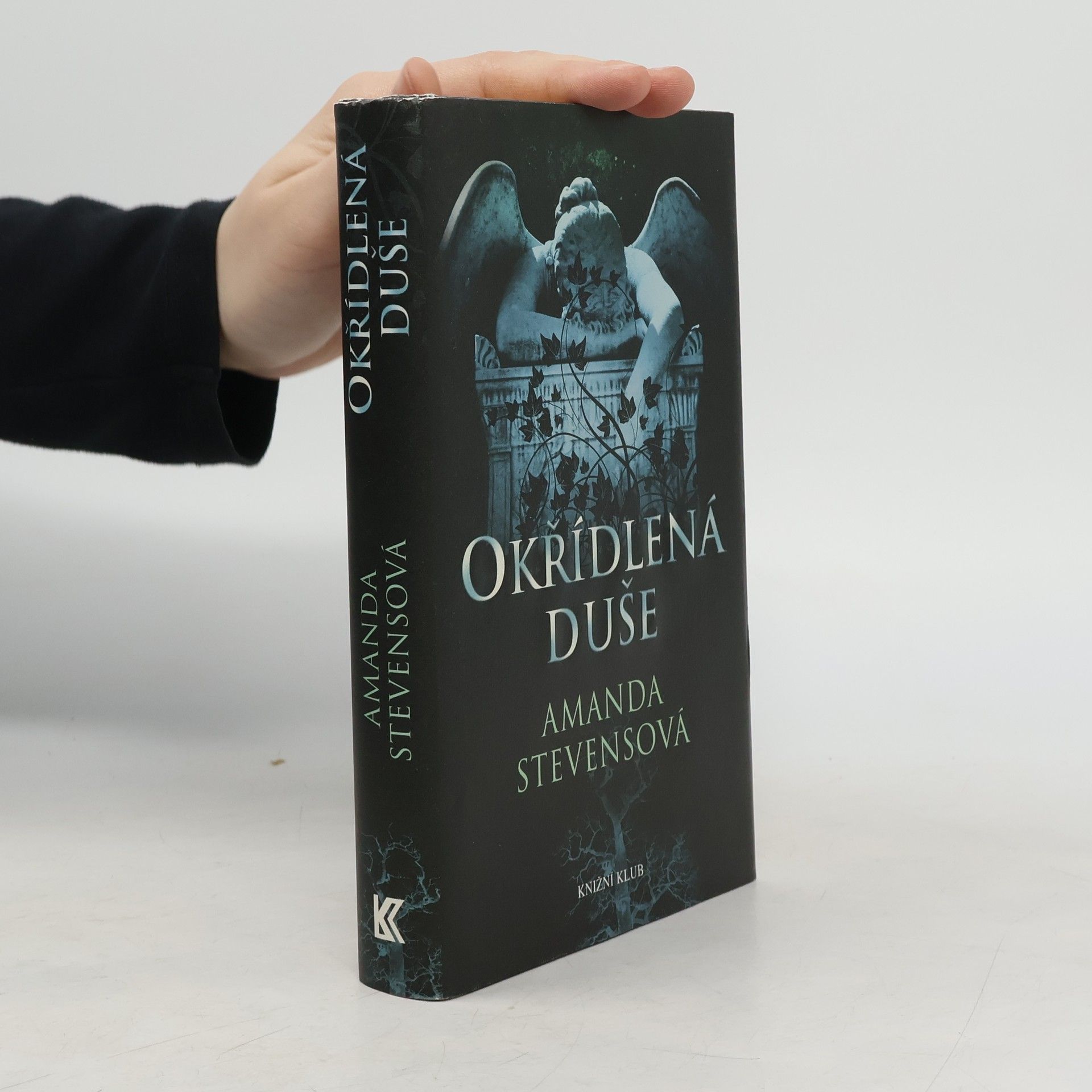 Amanda Stevens Okřídlená duše