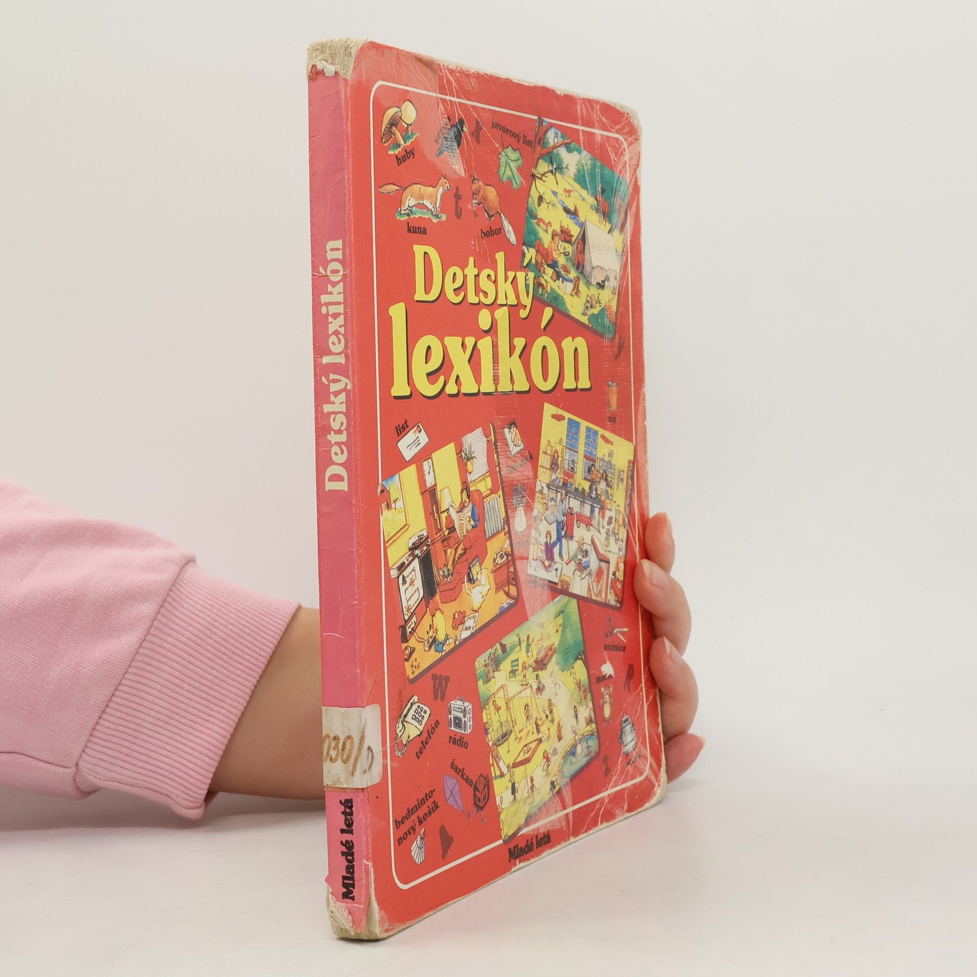 AA.VV. Detský lexikón