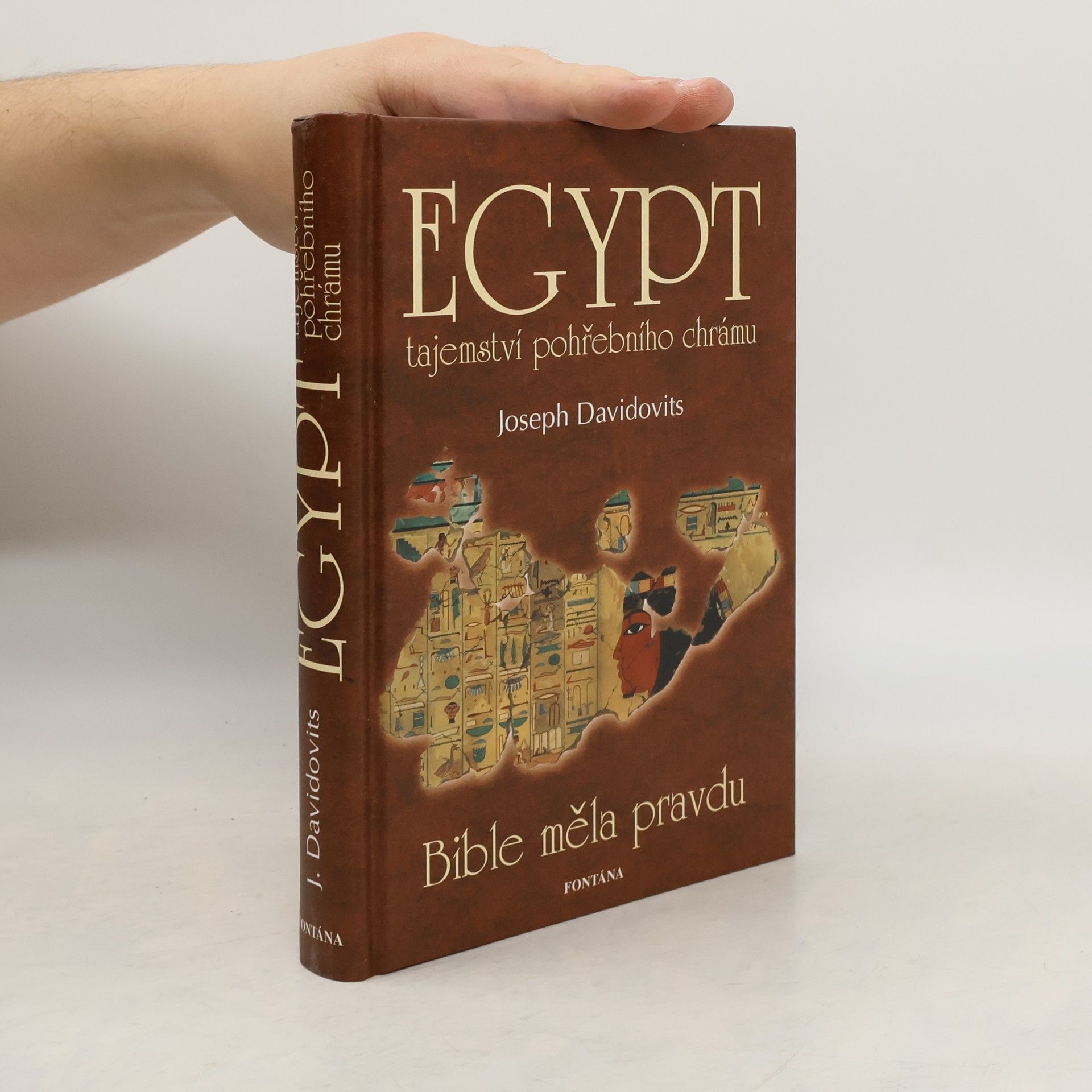 Joseph Davidovits Egypt: Tajemství pohřebního chrámu: Bible měla pravdu