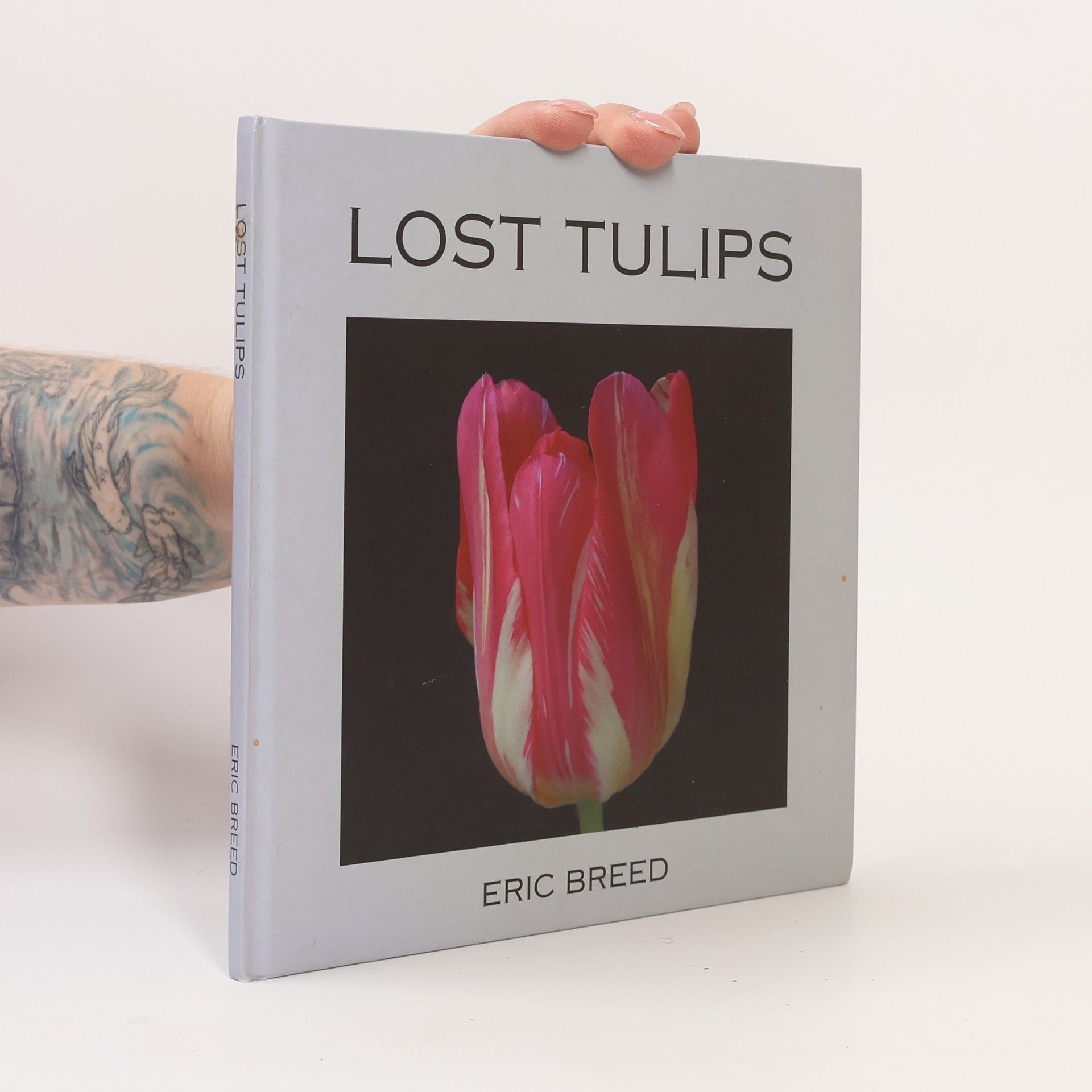 Eric Breed Lost Tulips