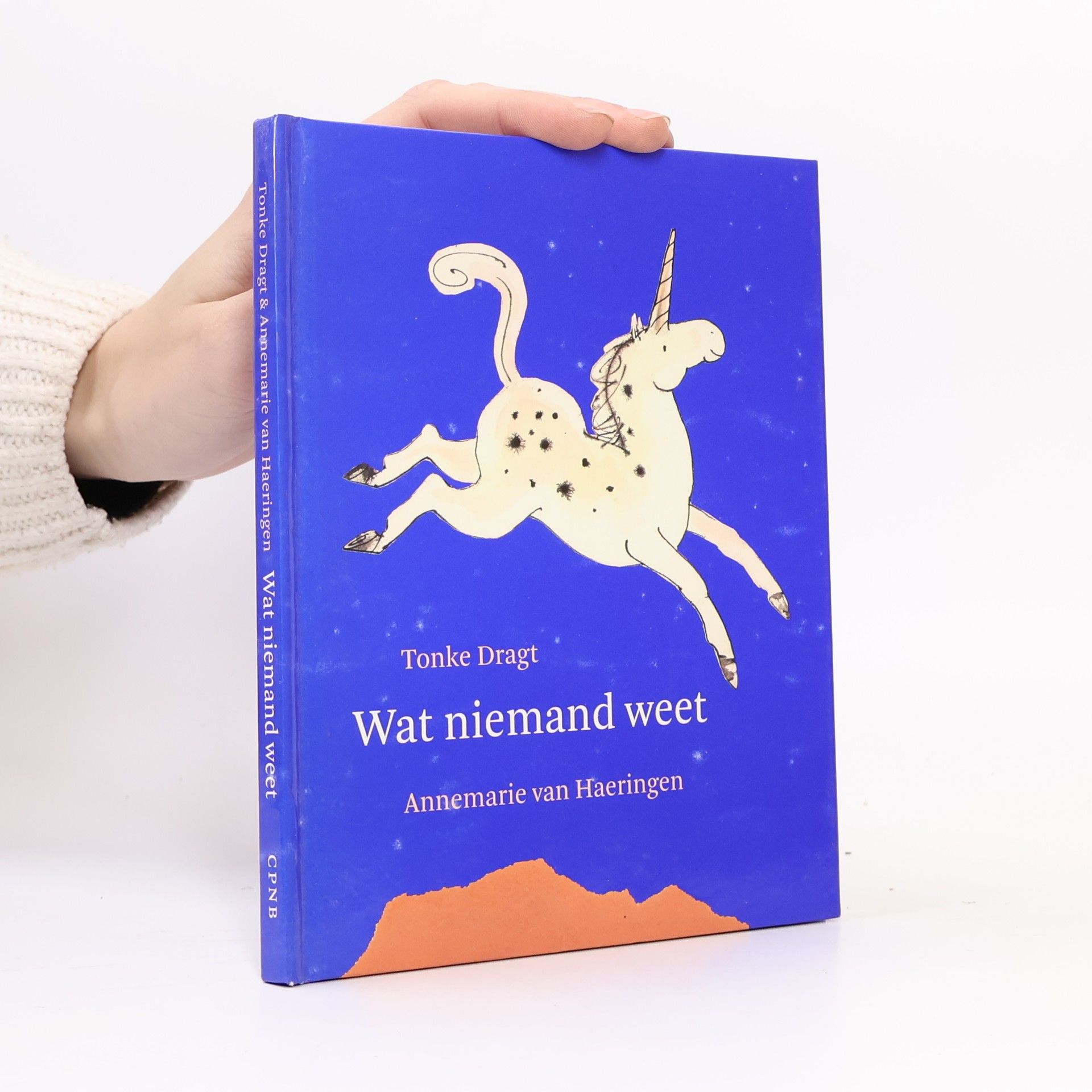 Tonke Dragt Wat niemand weet