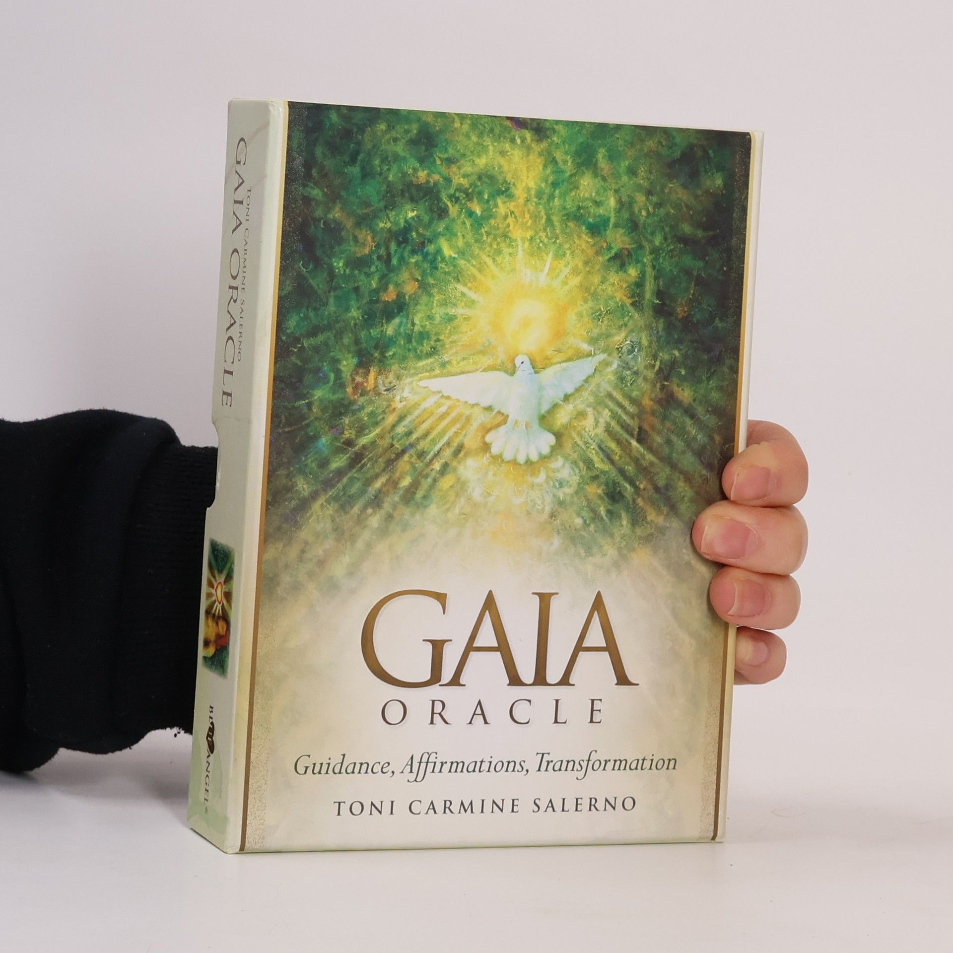 Toni Salerno Gaia Oracle