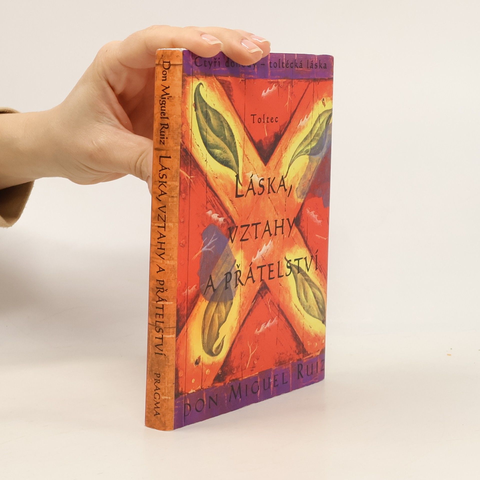 Don Miguel Ruiz Láska, vztahy a přátelství