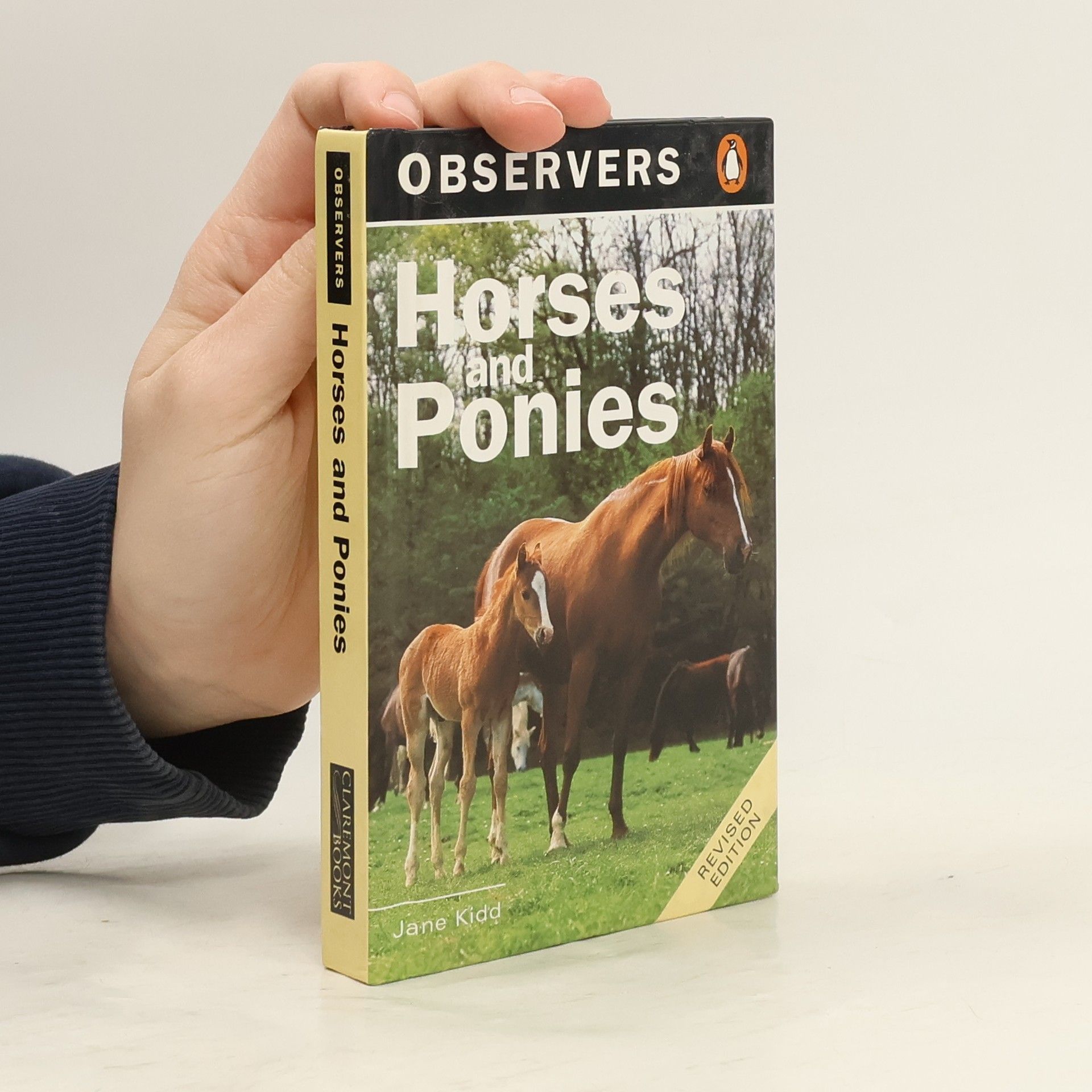 Jane Kidd Horses and Ponies