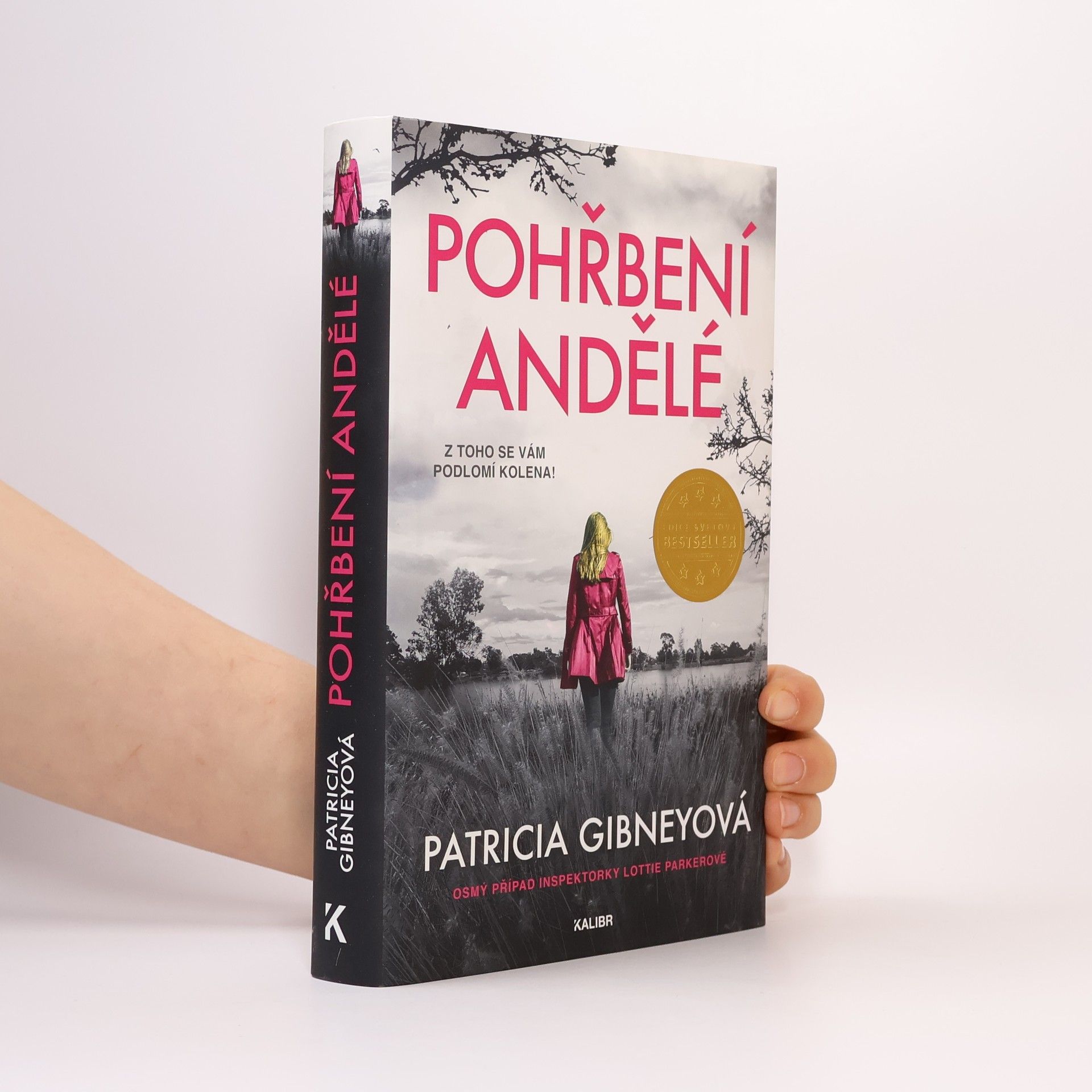 Drahomíra Michnová Pohřbení andělé