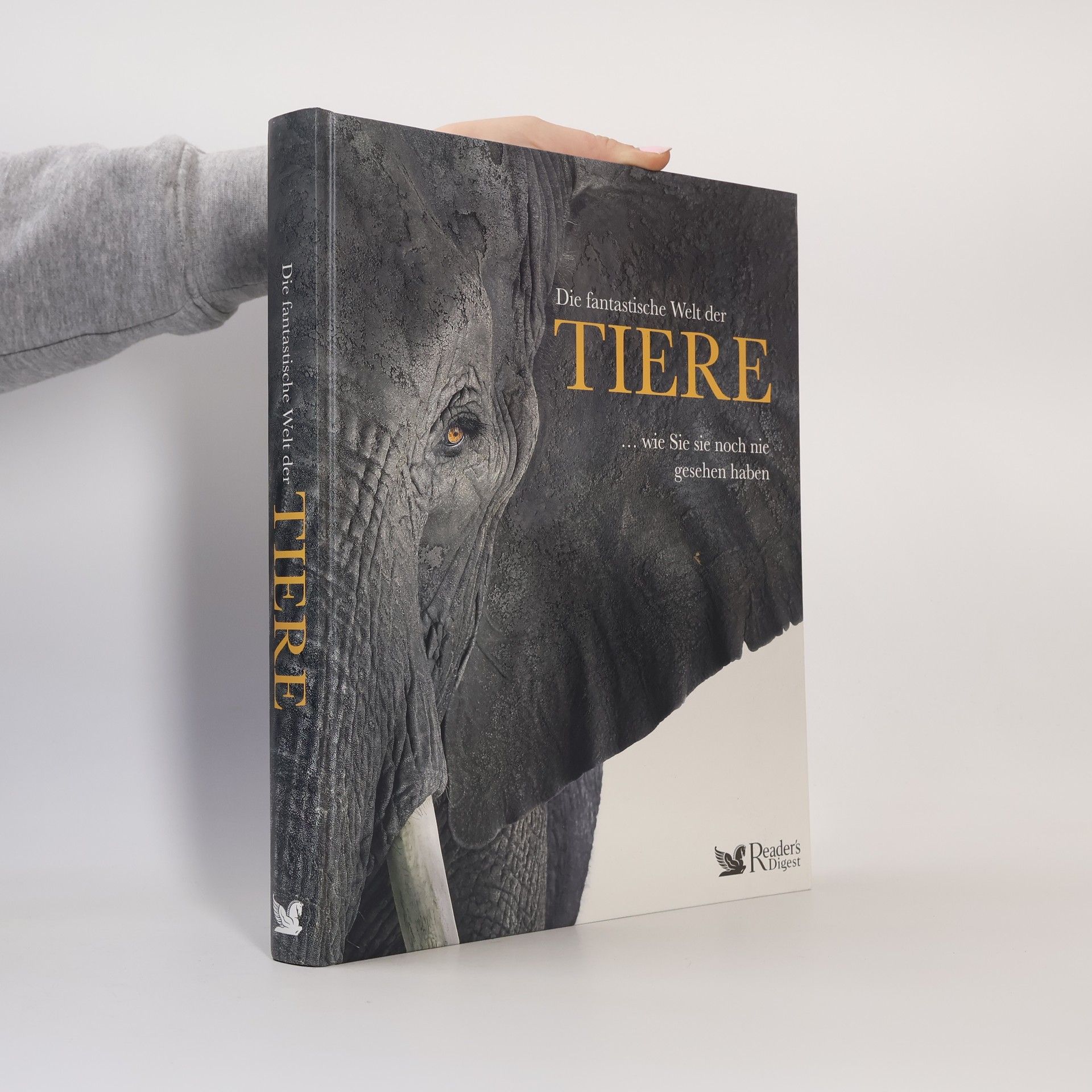 Jamie Ambrose Die fantastische Welt der Tiere