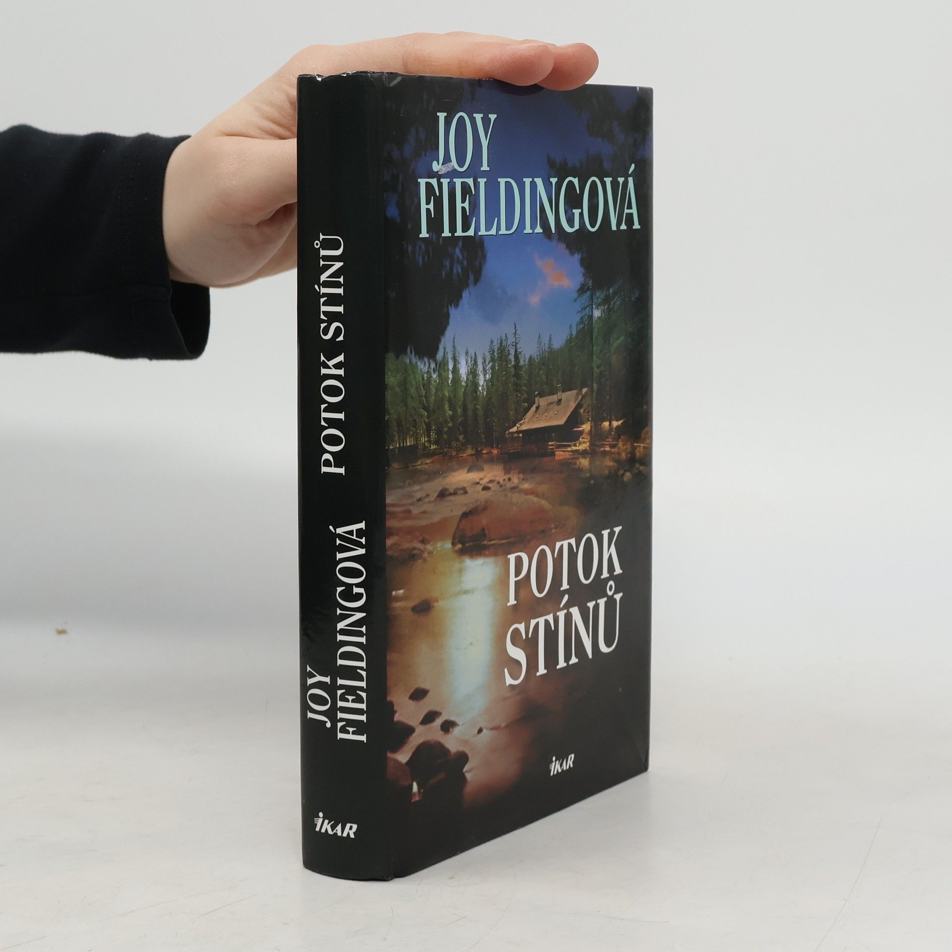 Joy Fielding Potok stínů