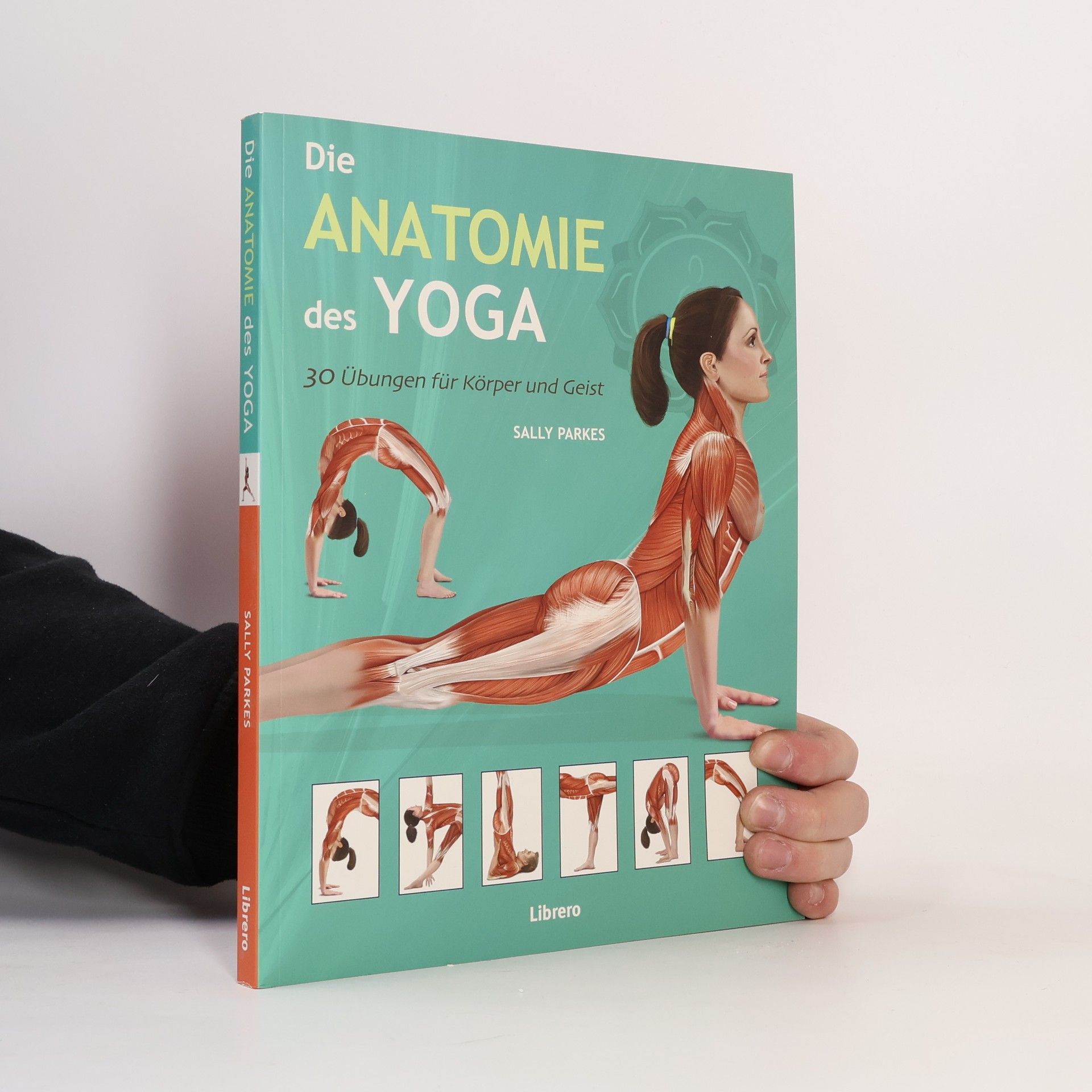 Sally Parkes Die Anatomie des Yoga