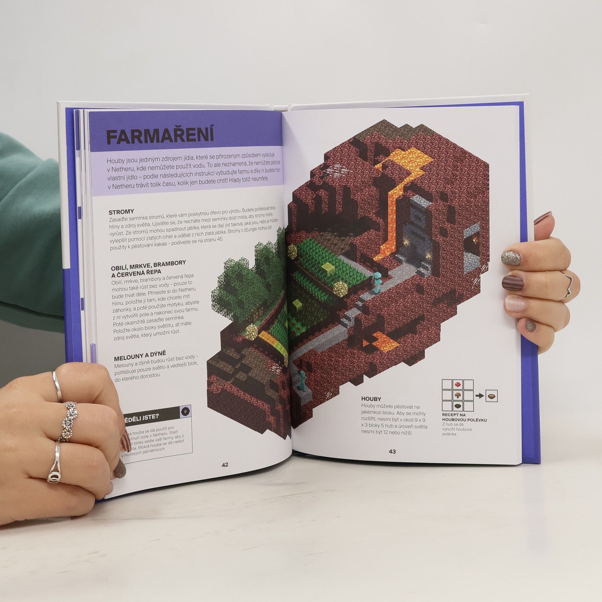 Stephanie Milton Minecraft. Průvodce světem Netheru a Endu