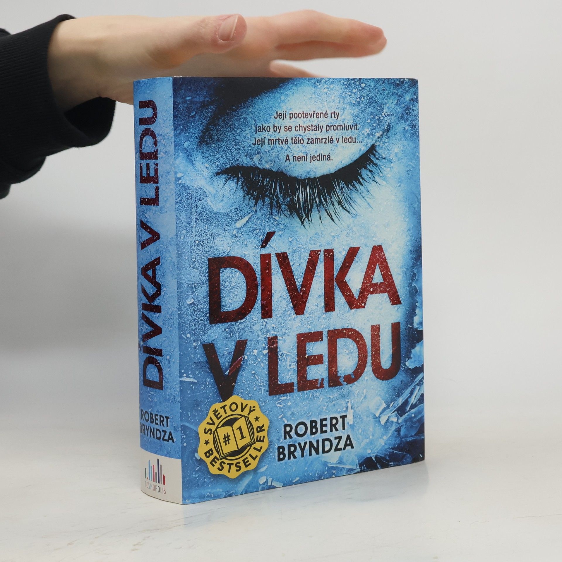 Robert Bryndza Dívka v ledu