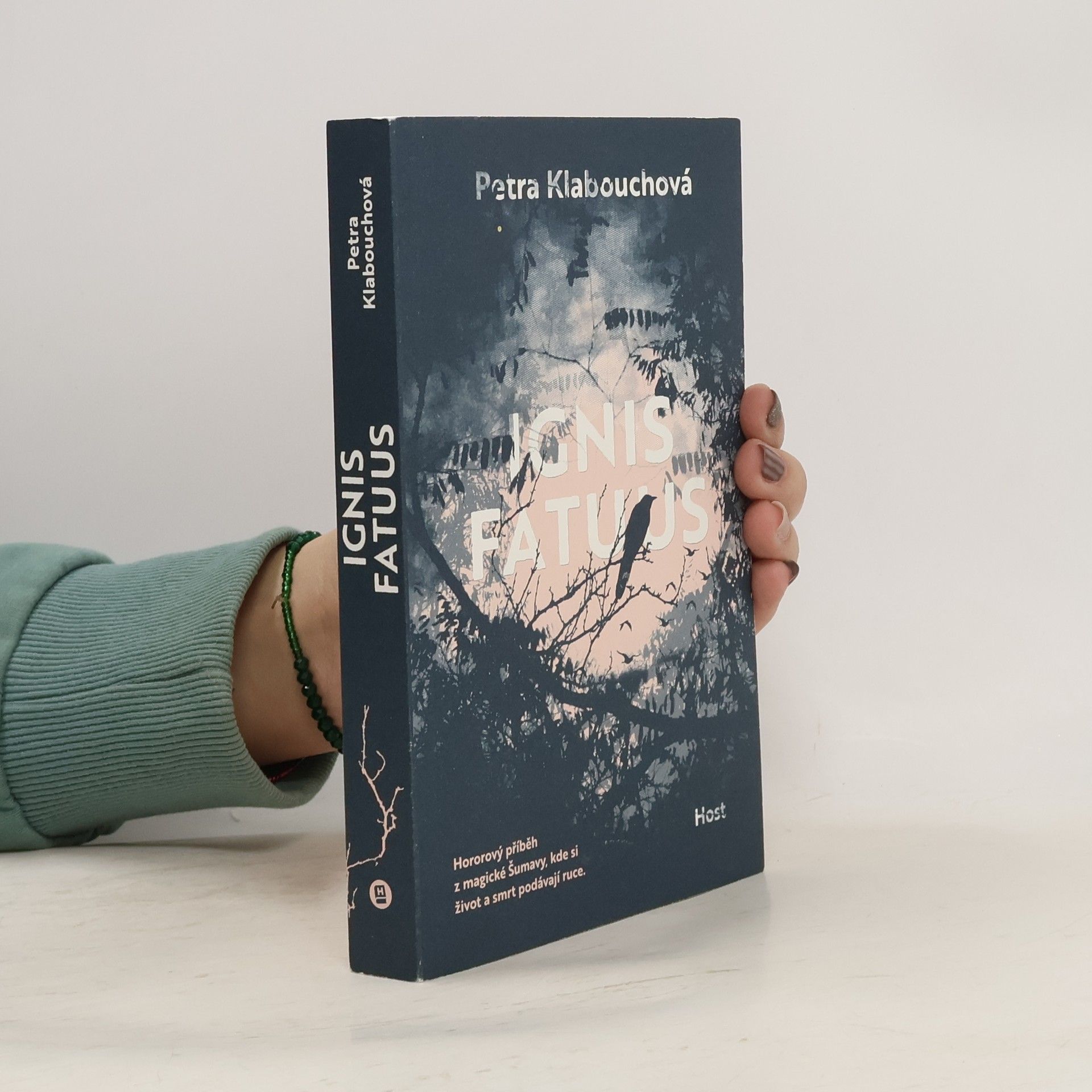 Petra Klabouchová Ignis fatuus