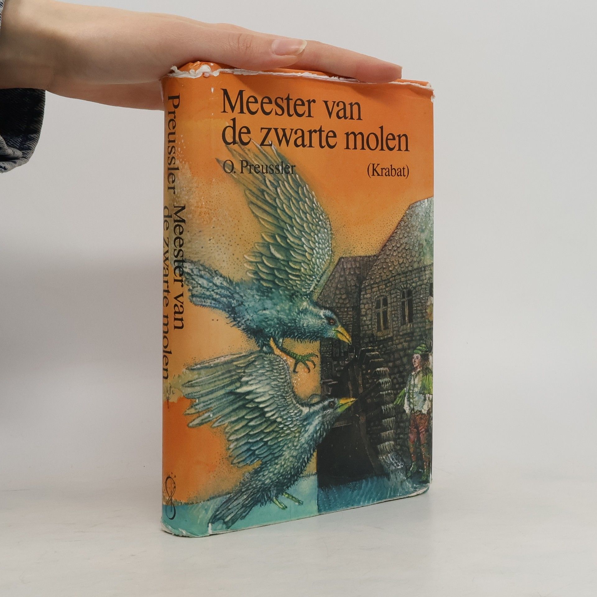 Kolektív autorov Meester van de zwarte molen