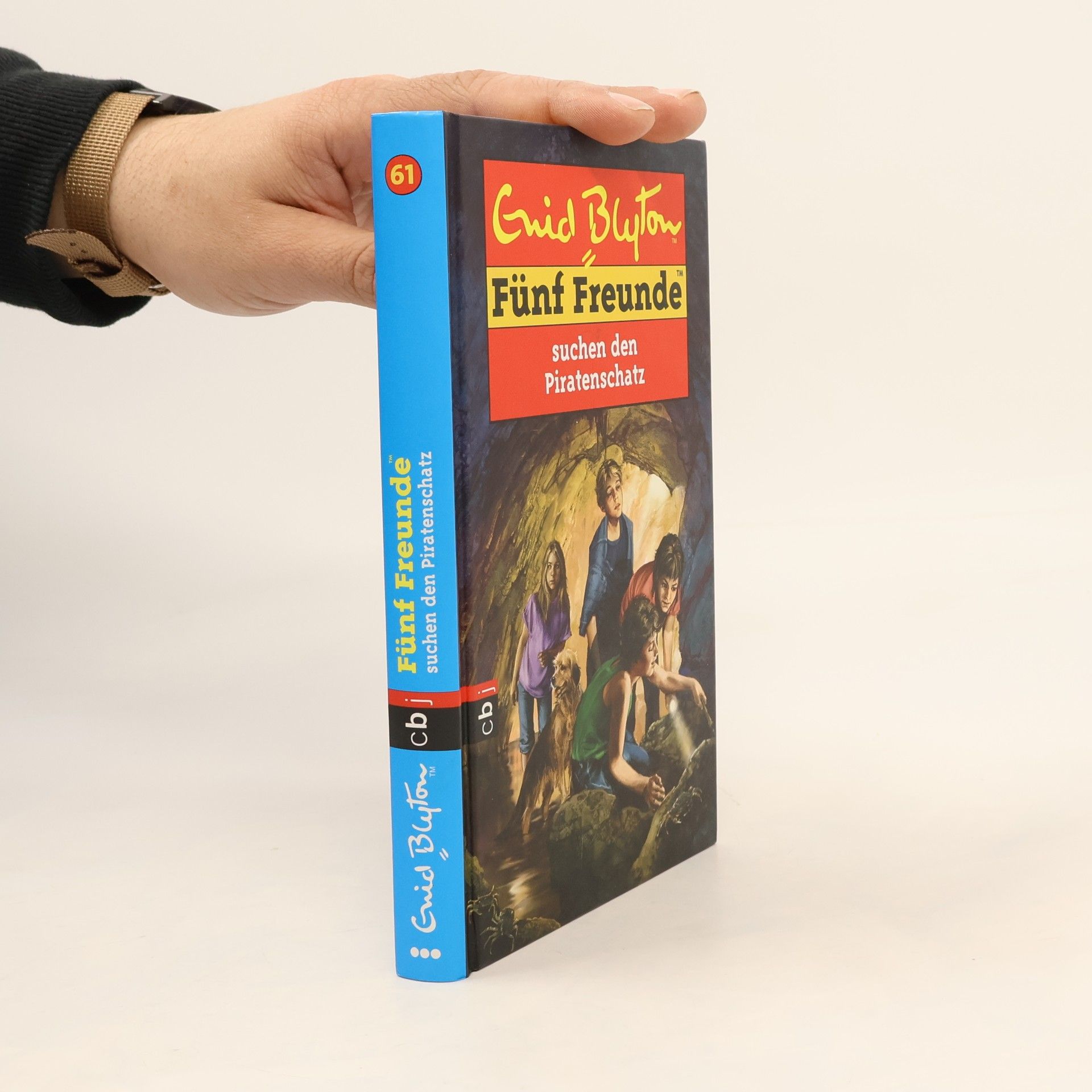 Sarah Bosse Fünf Freunde suchen den Piratenschatz