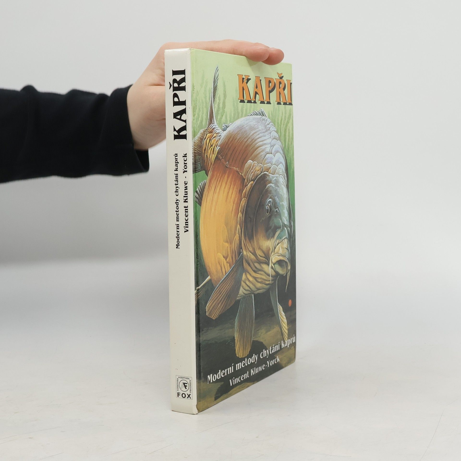 Vincent KluweYorck Kapři. Moderní metody chytání kaprů