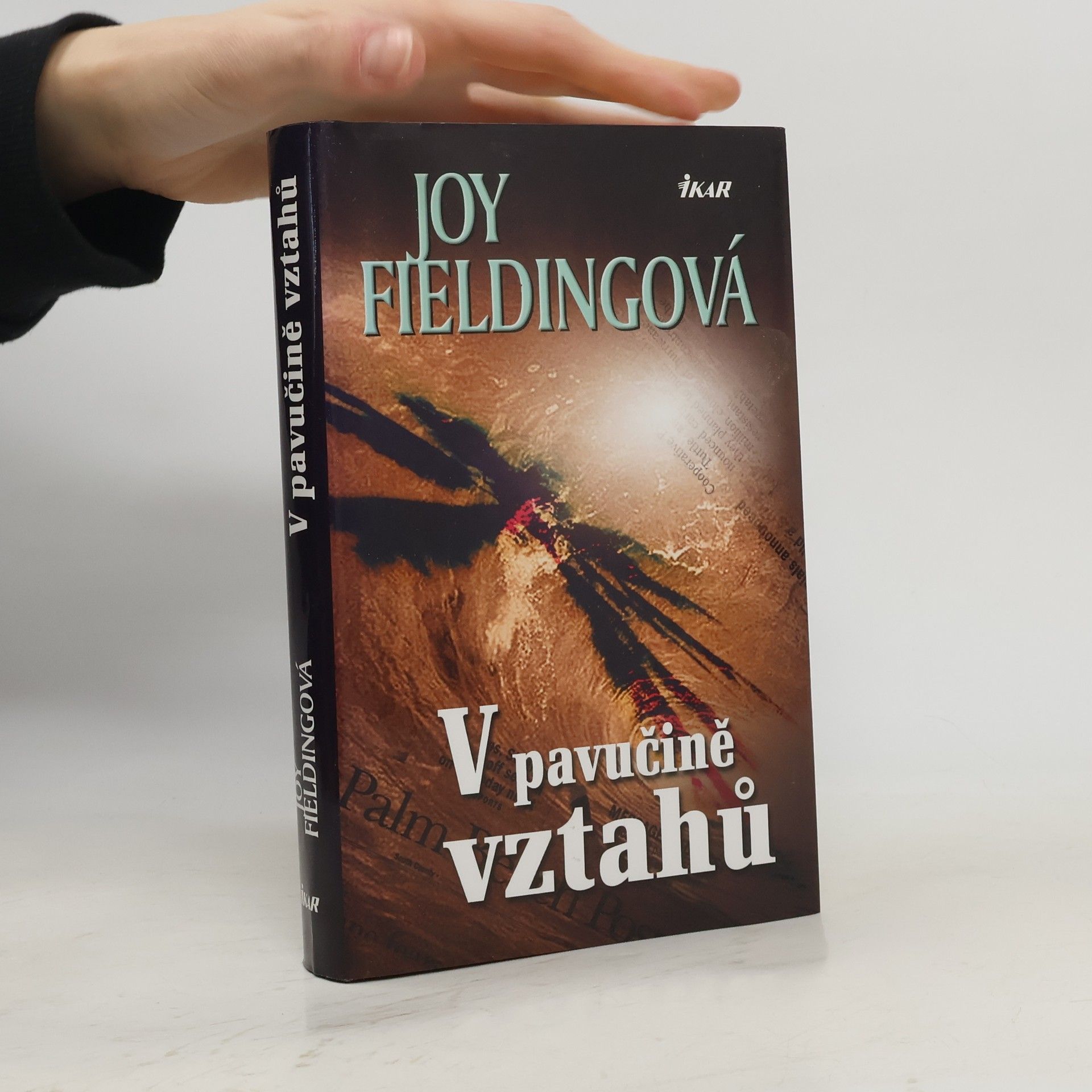 Joy Fielding V pavučině vztahů