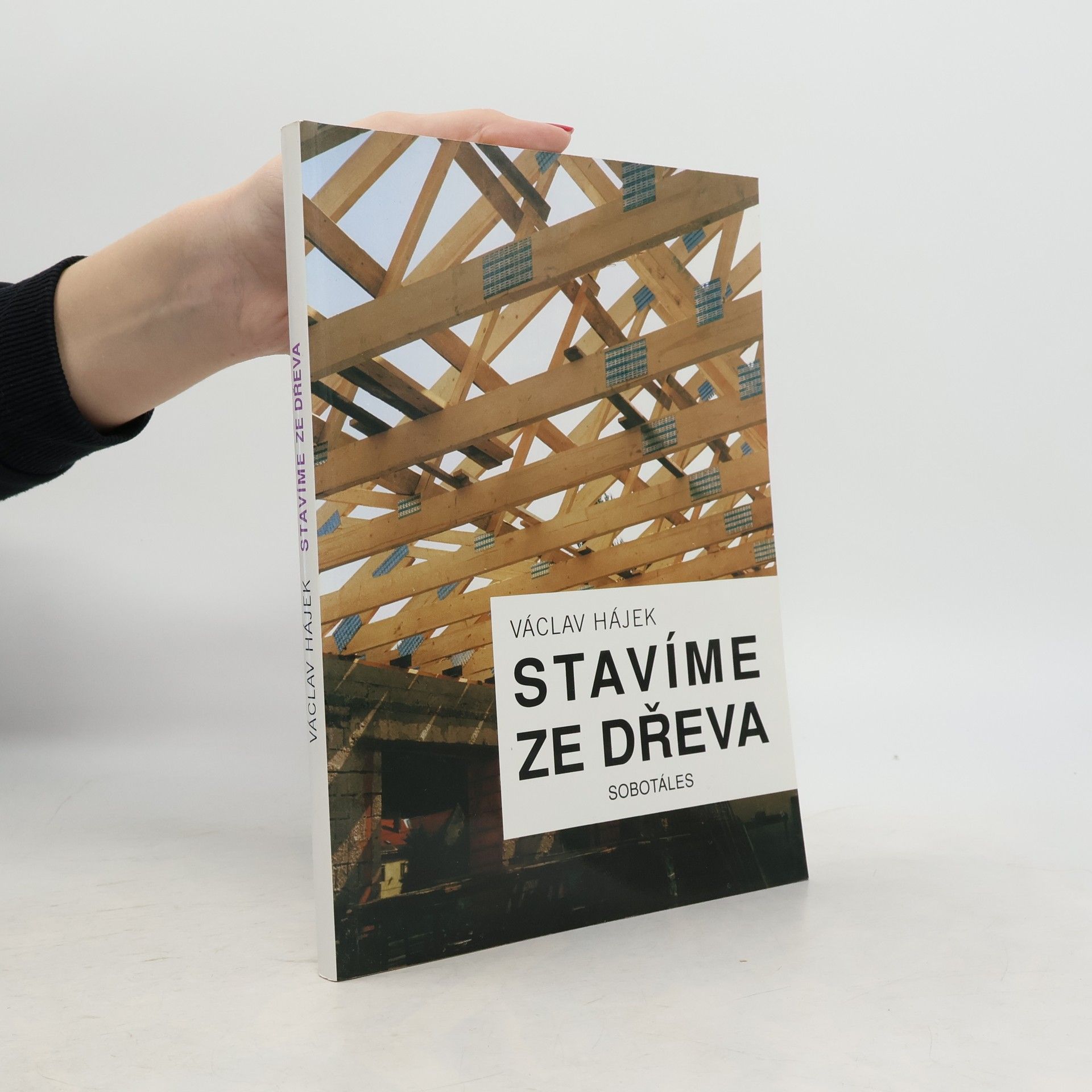 Václav Hájek Stavíme ze dřeva