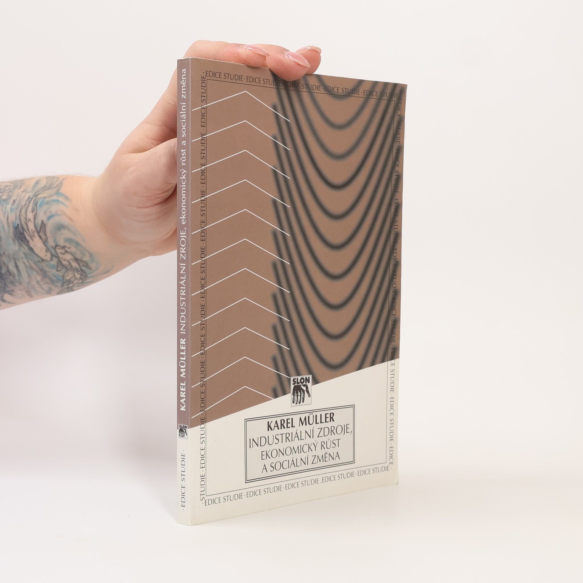 Karel Müller Industriální zdroje, ekonomický růst a sociální změna