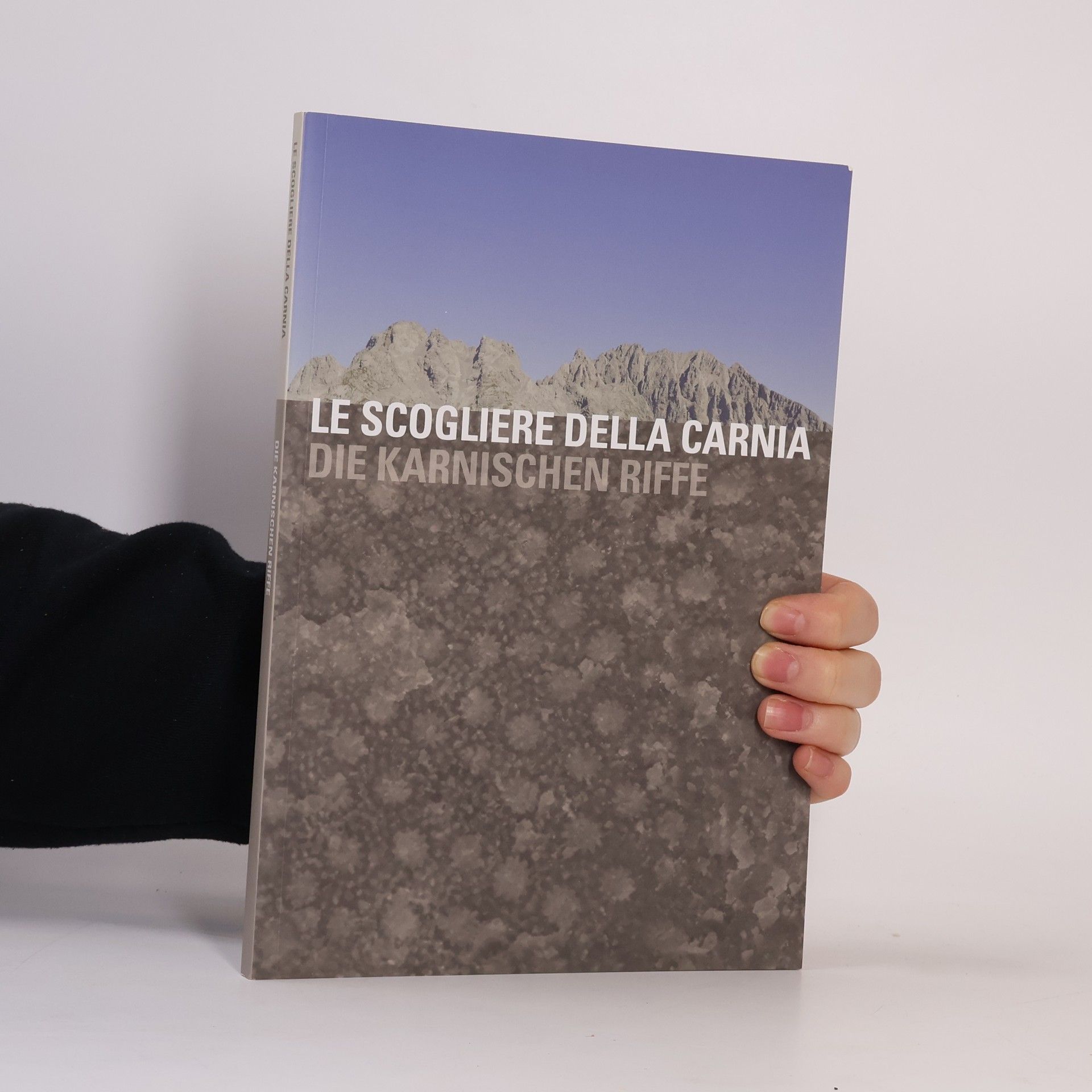 Carlo Corradini Die Karnischen Riffe