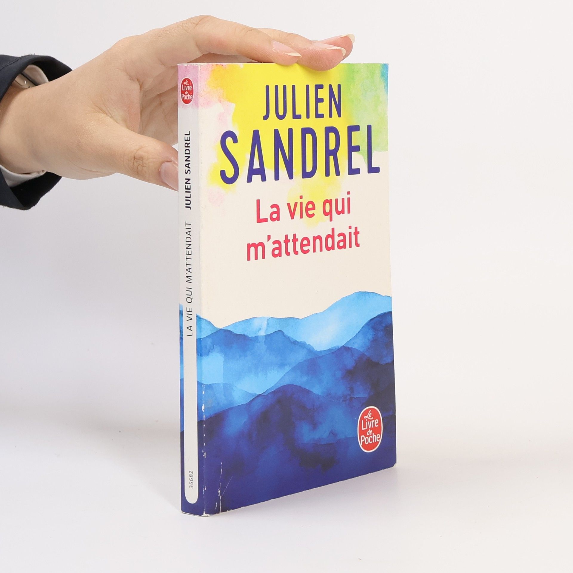 Julien Sandrel La vie qui m'attendait
