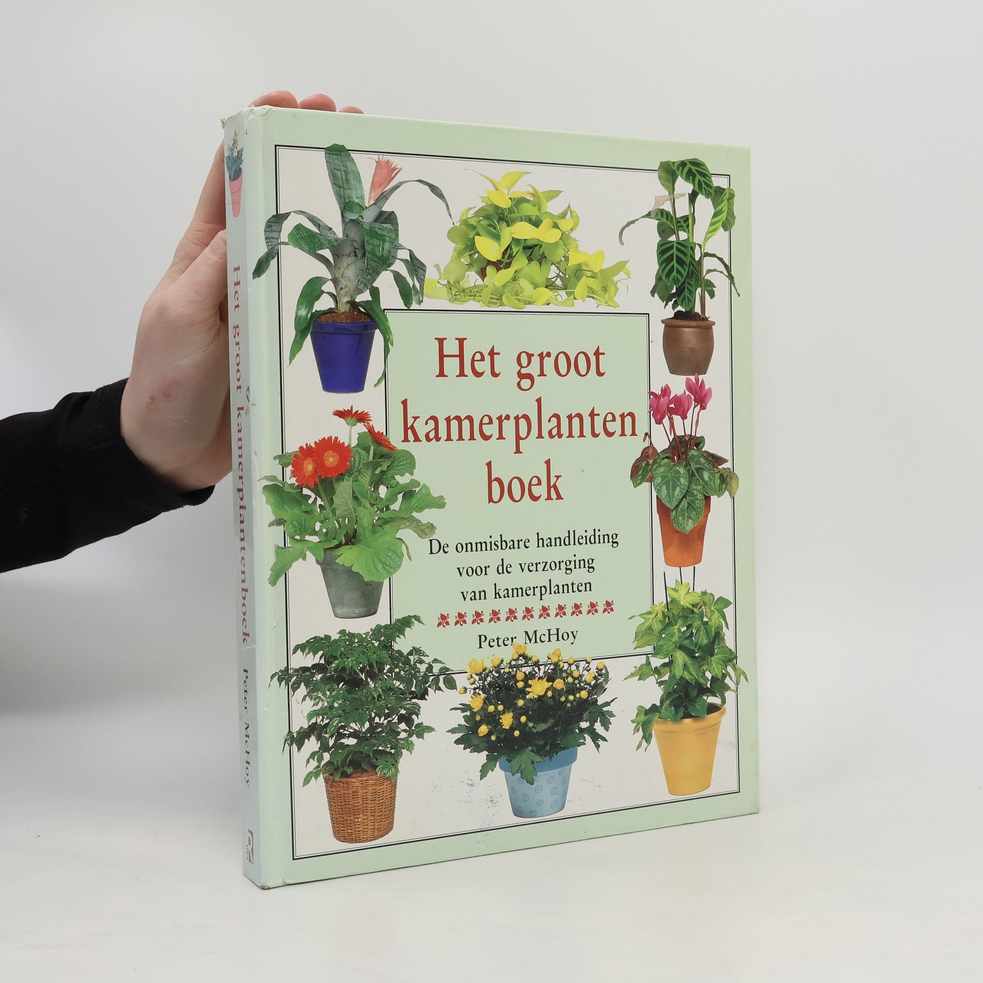 Peter McHoy Het groot kamerplantenboek