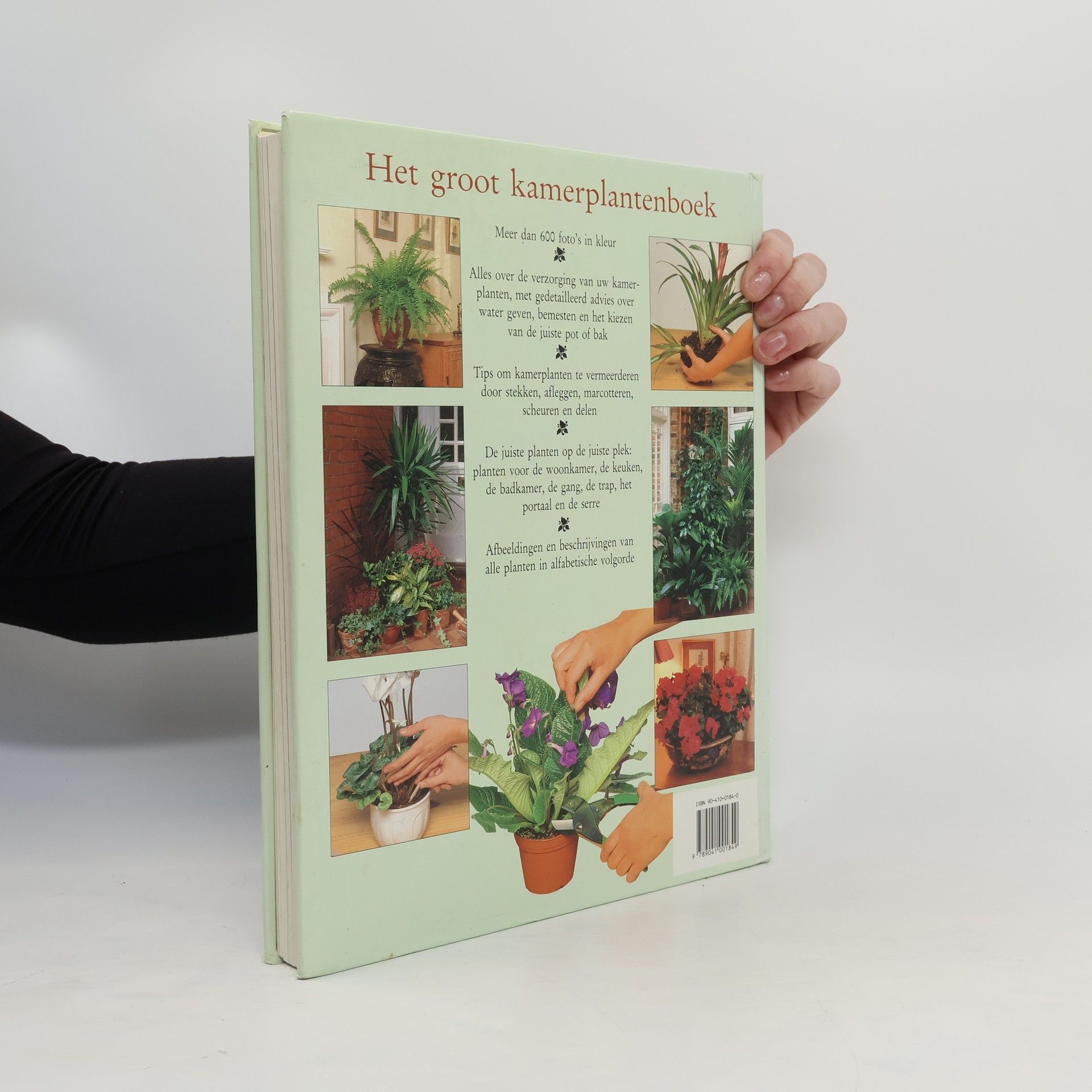 Peter McHoy Het groot kamerplantenboek