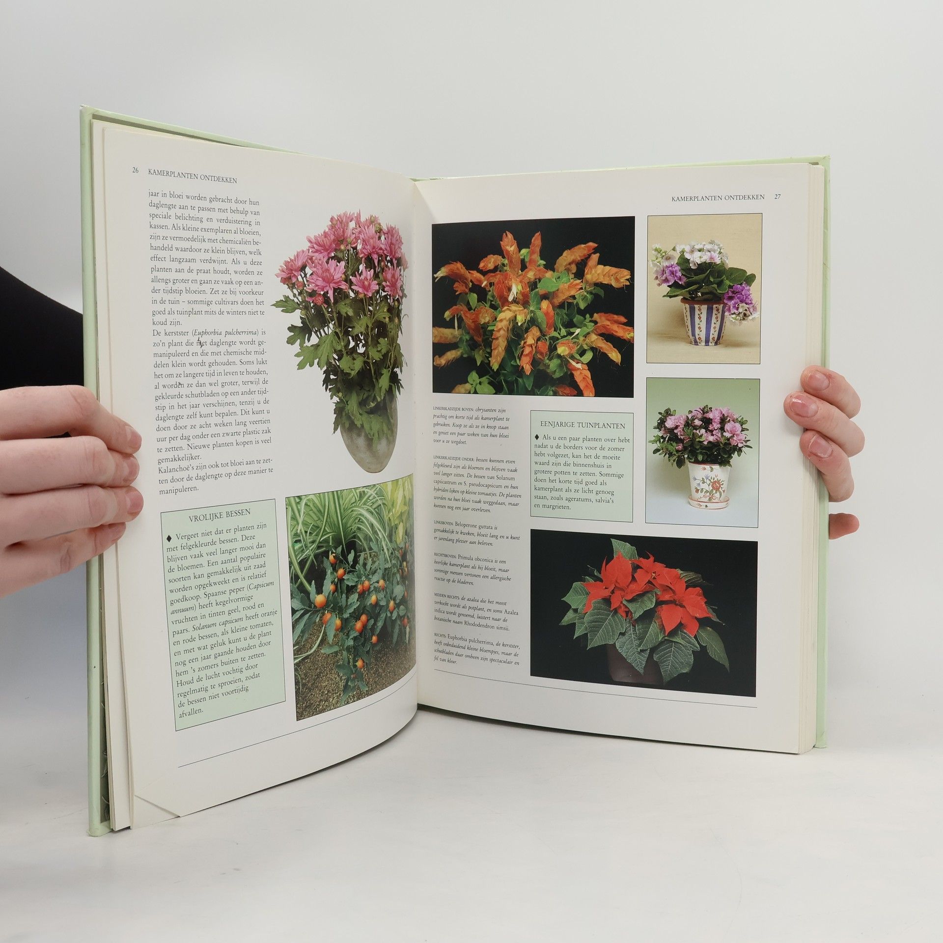 Peter McHoy Het groot kamerplantenboek