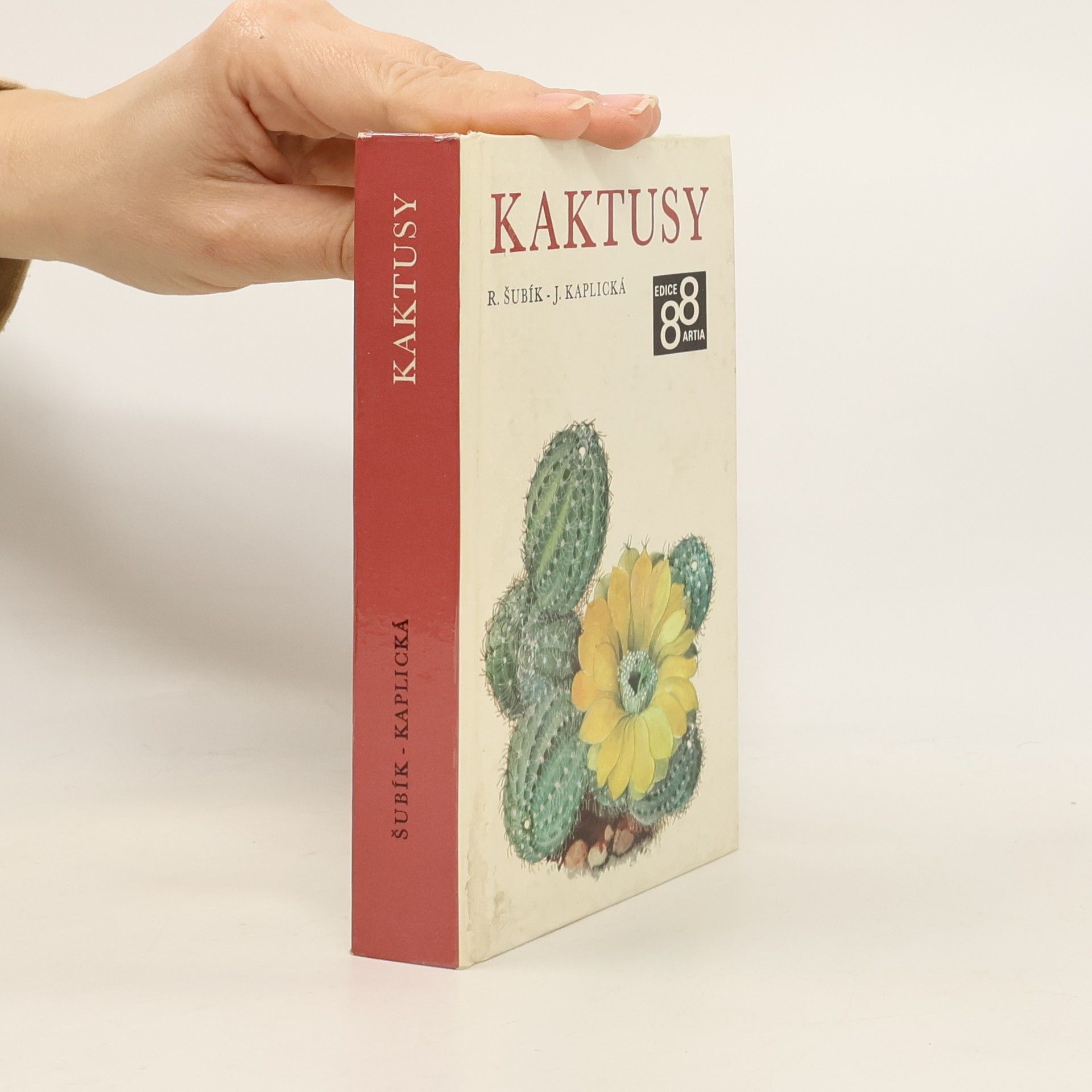 Rudolf Šubík Kaktusy