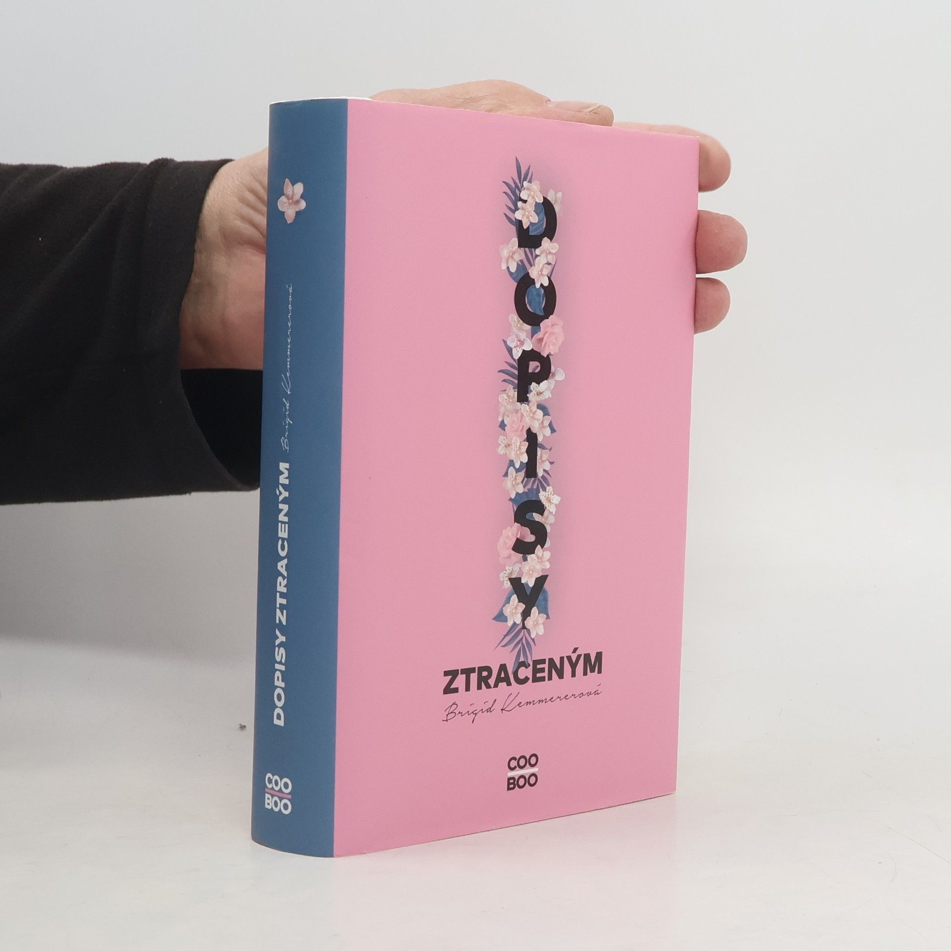 Brigid Kemmererová Dopisy ztraceným