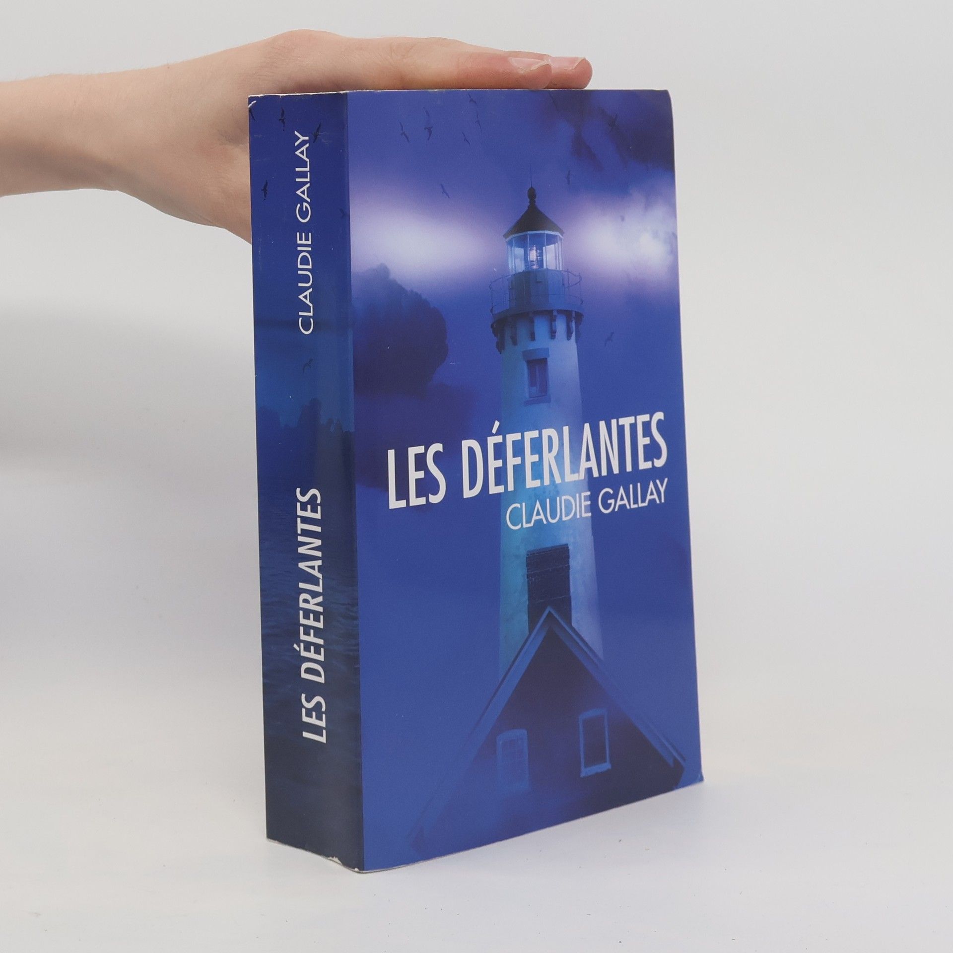 Claudie Gallay Les déferlantes