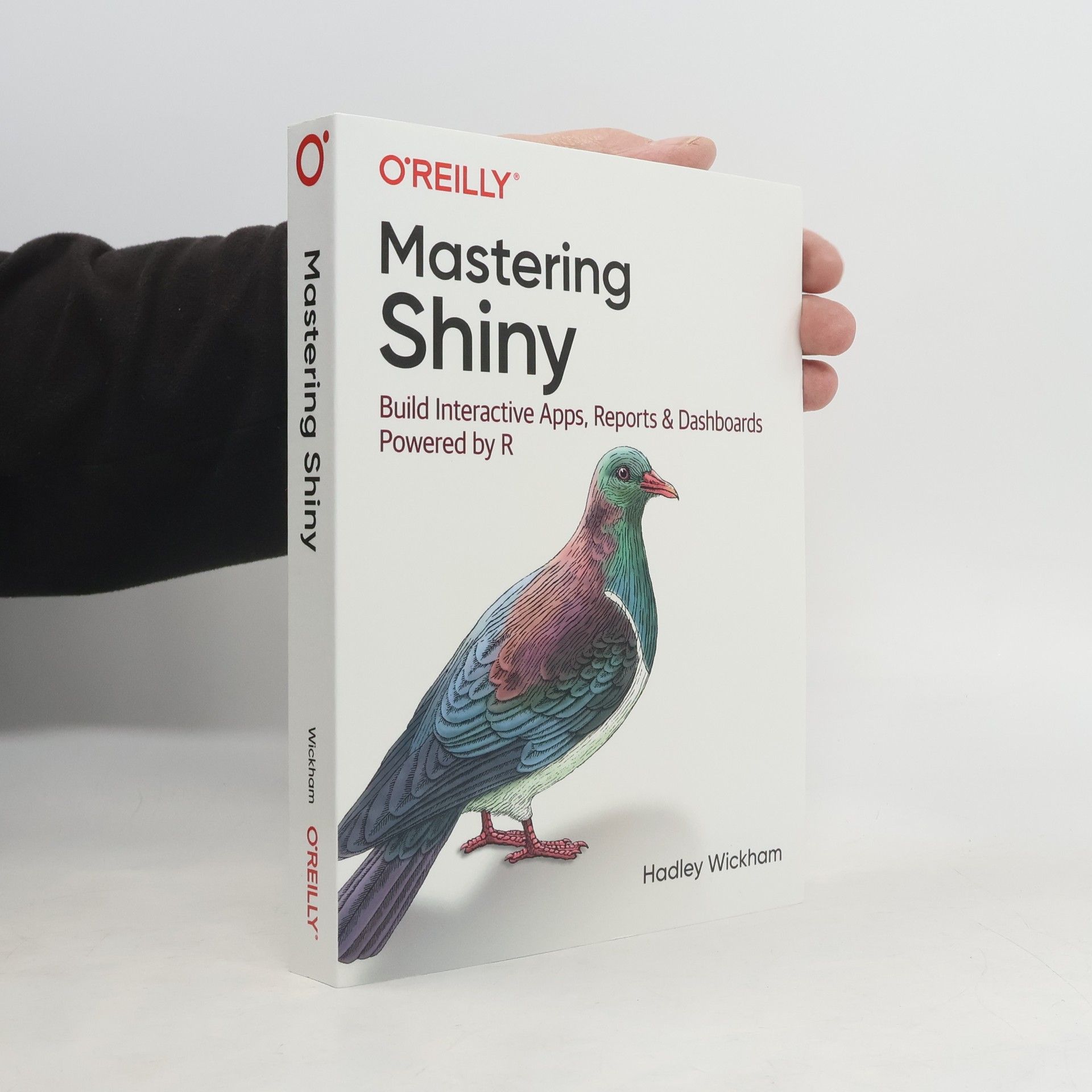 Hadley Wickham Mastering Shiny