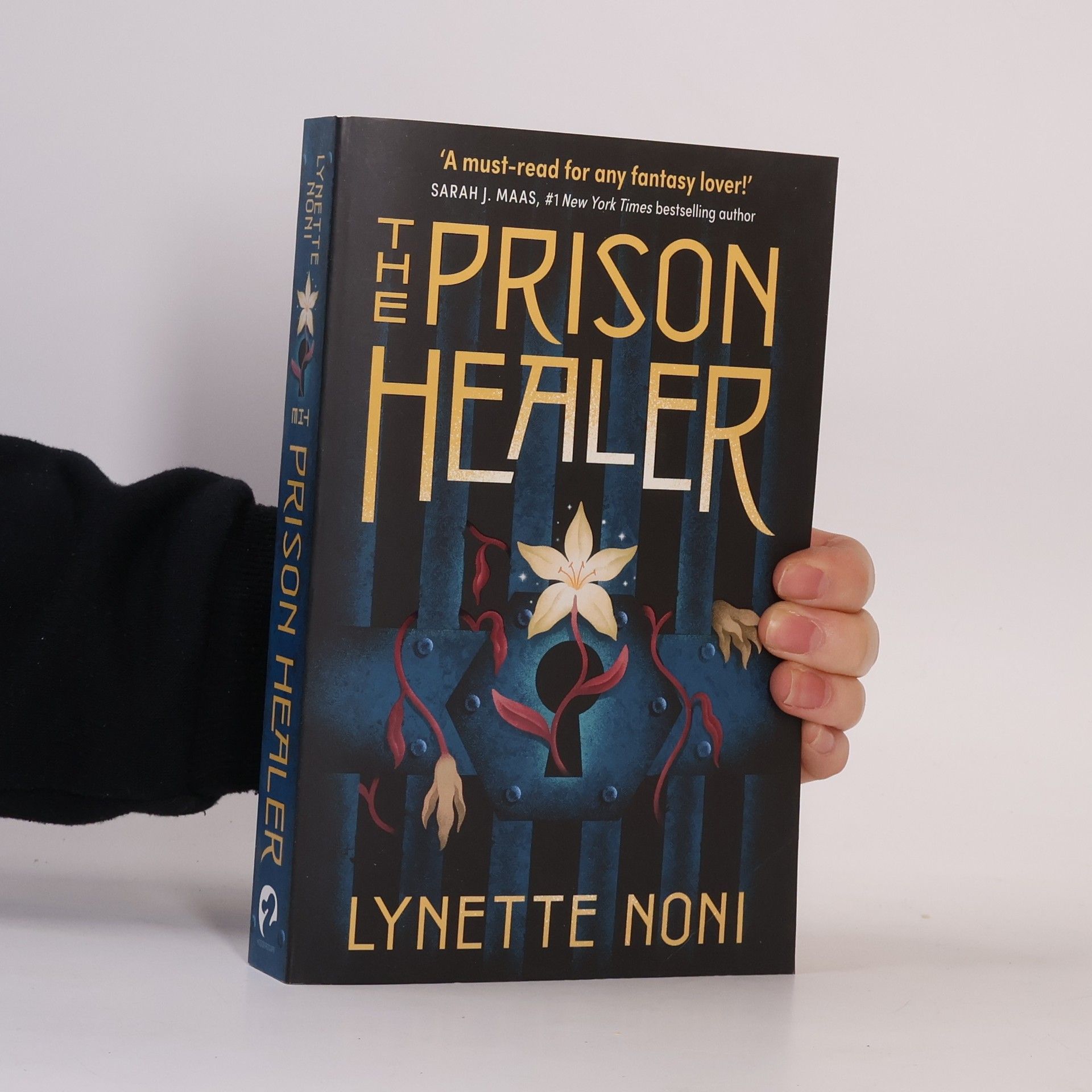 Lynette Noni The Prison Healer