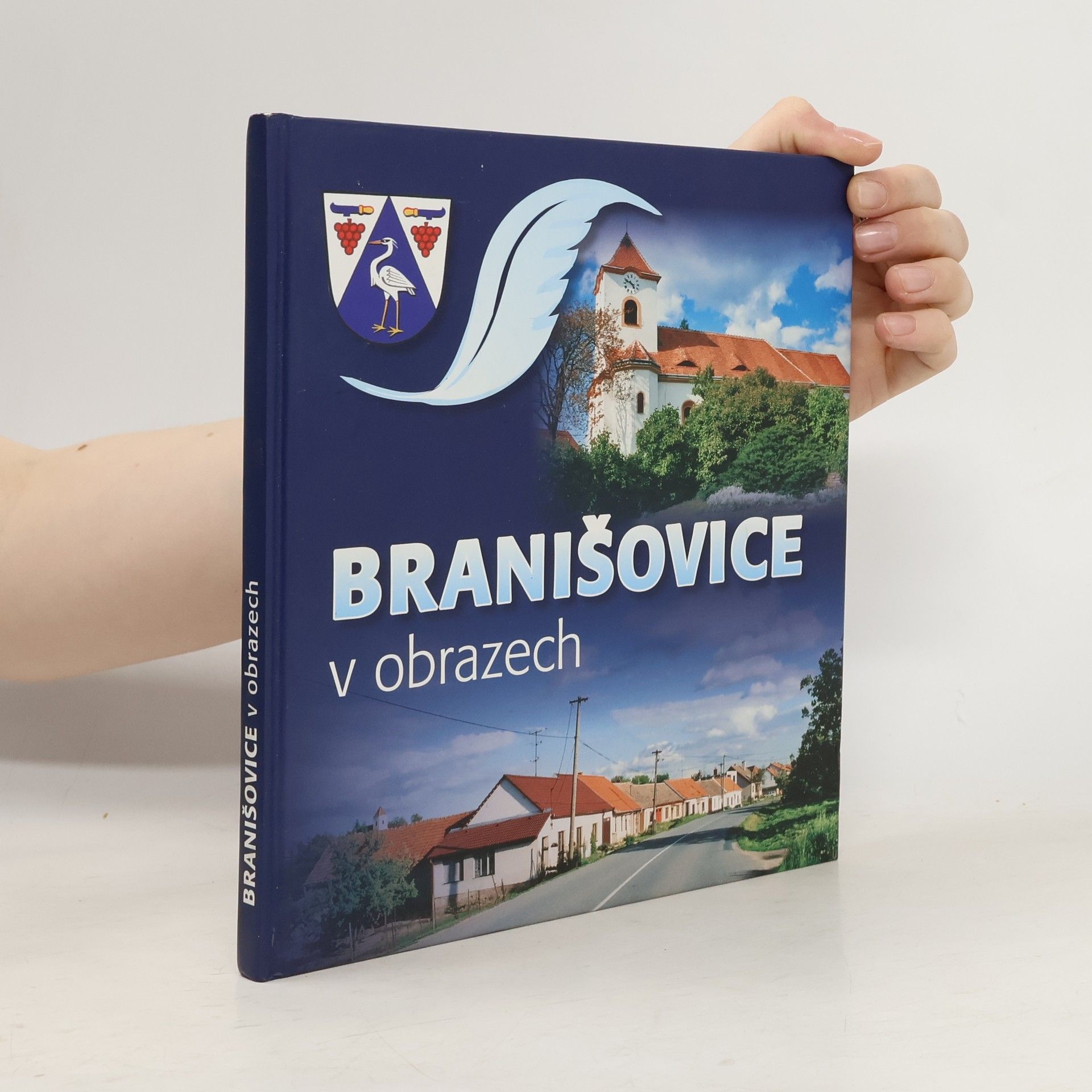 Kolektiv autorů Branišovice v obrazech