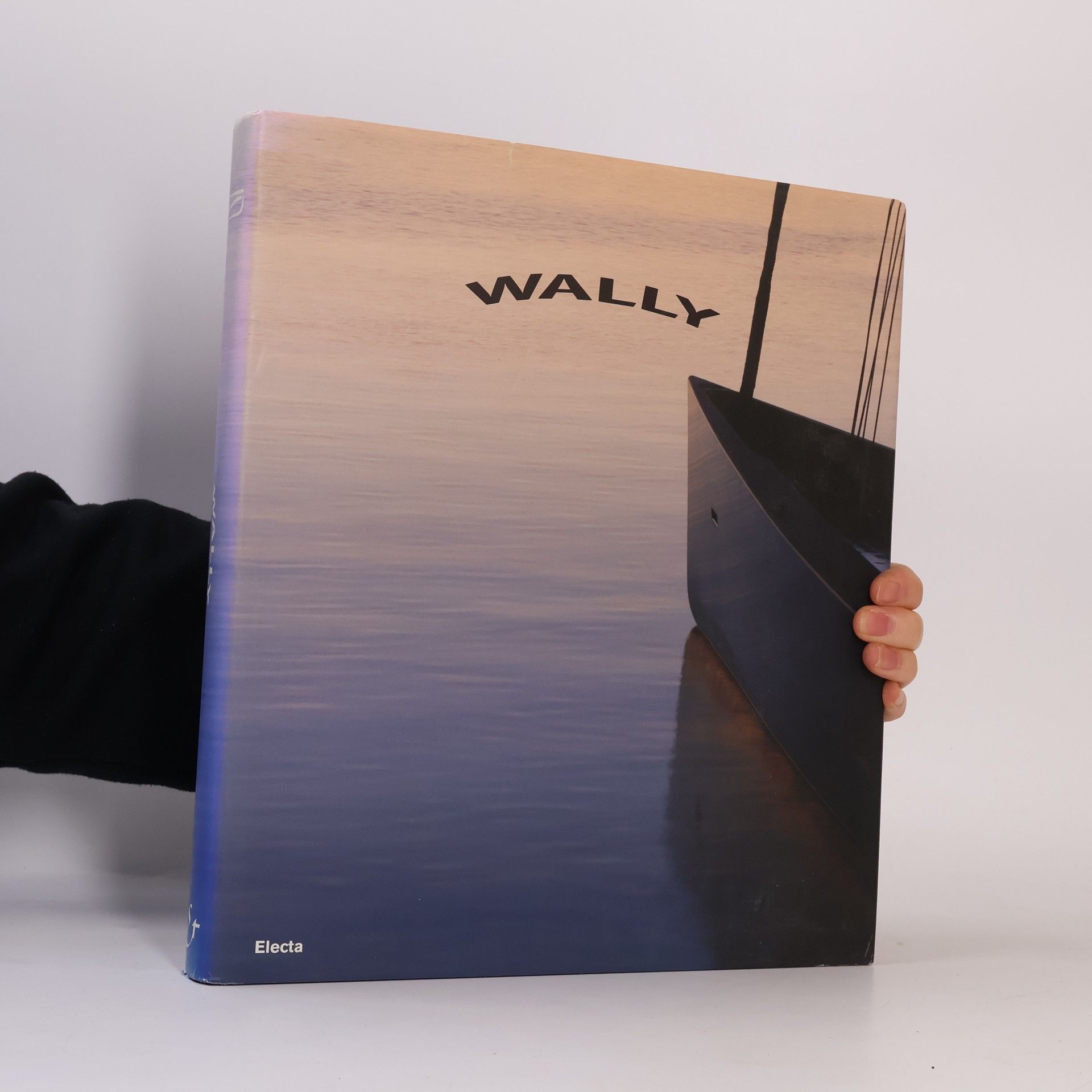 Decio Giulio Riccardo Carugati Wally