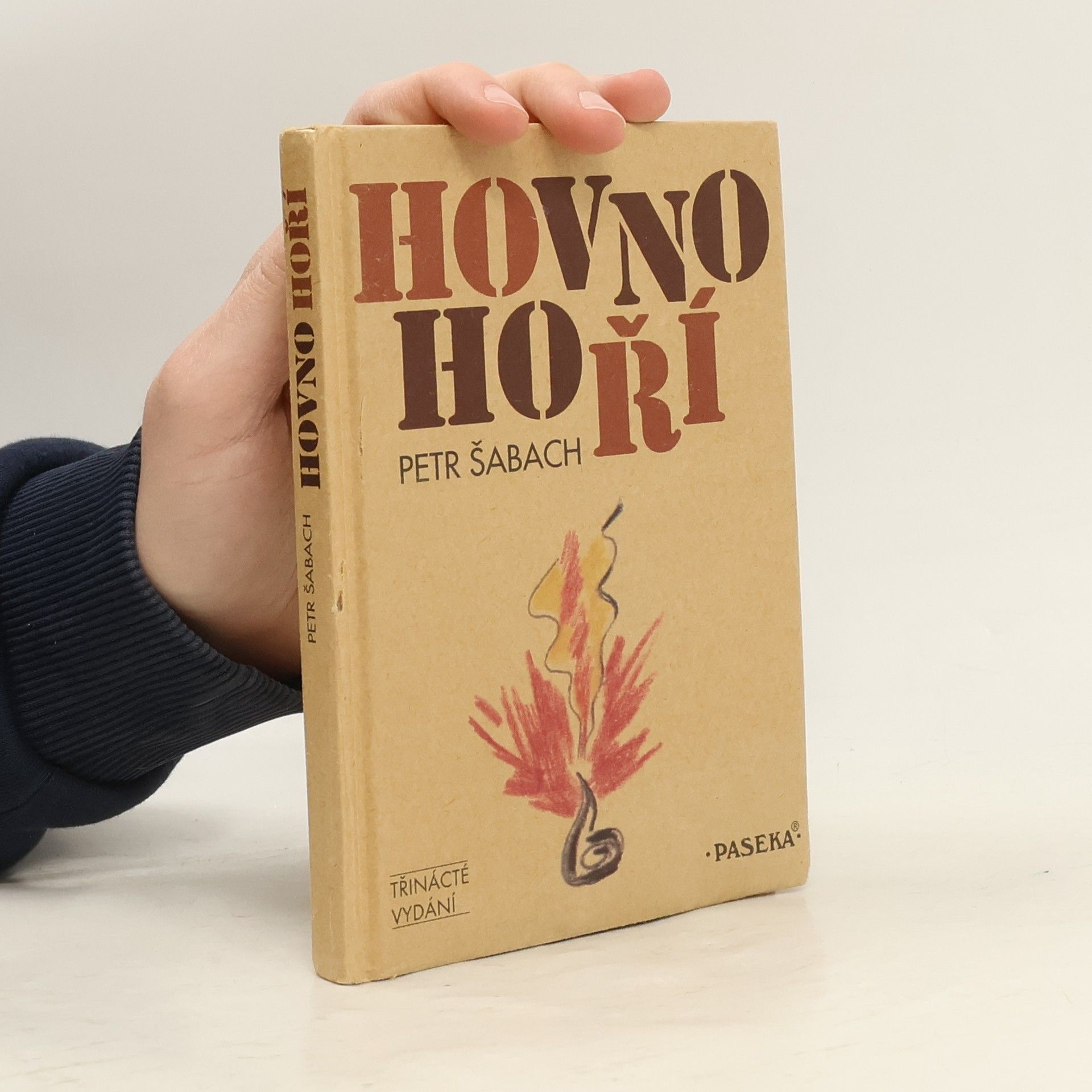 Petr Šabach Hovno hoří