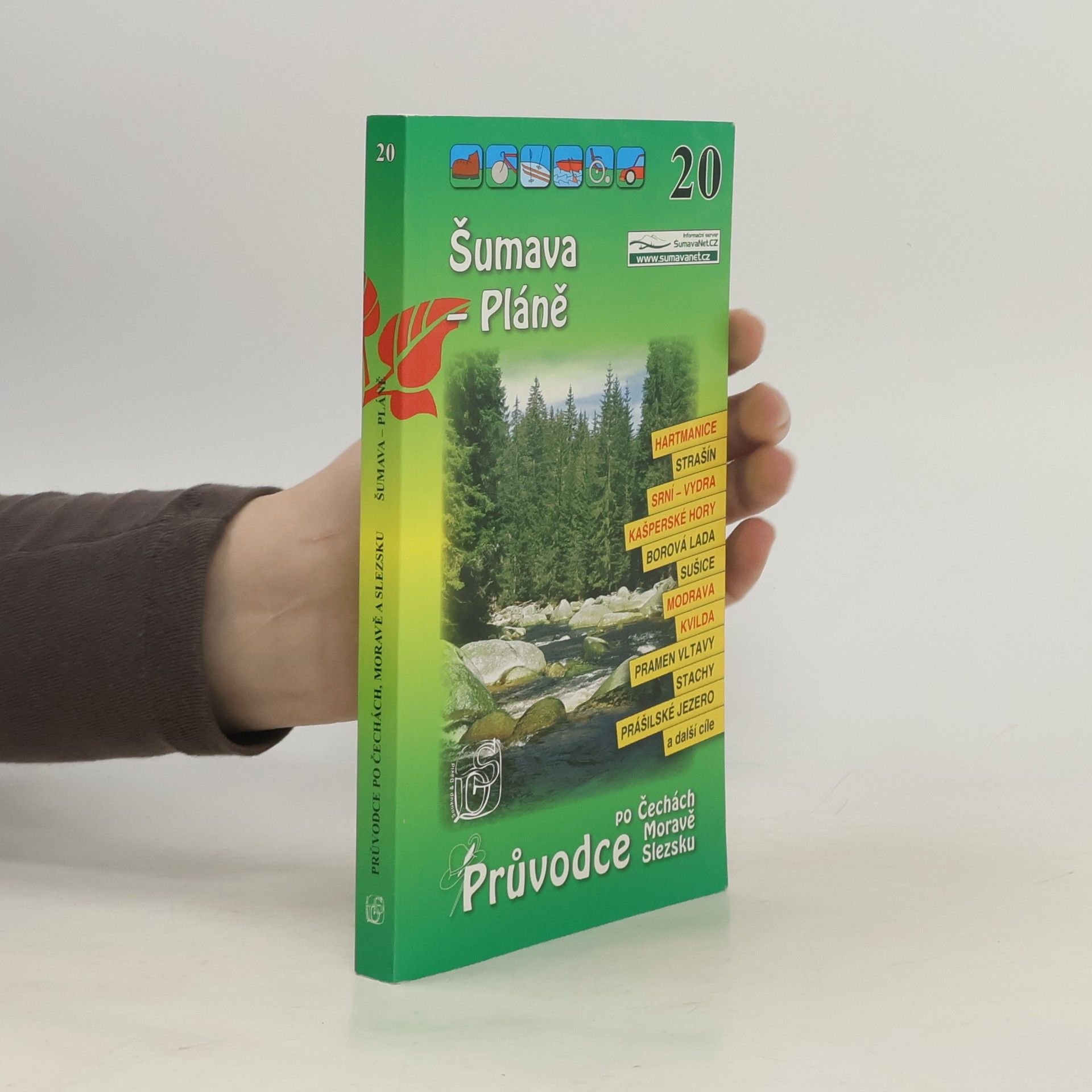 P. David Šumava - Pláně