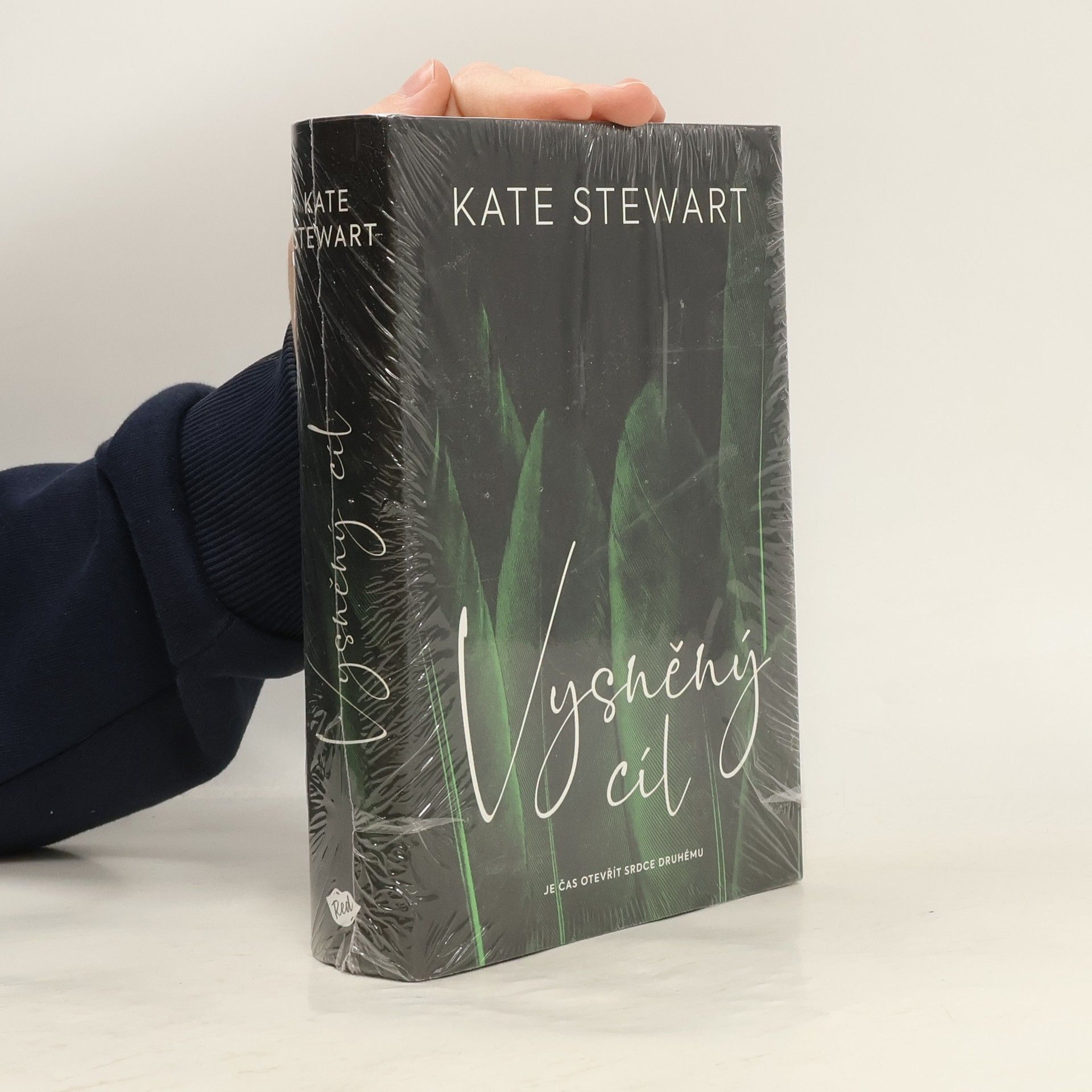 Kate Stewart Vysněný cíl. Kniha třetí