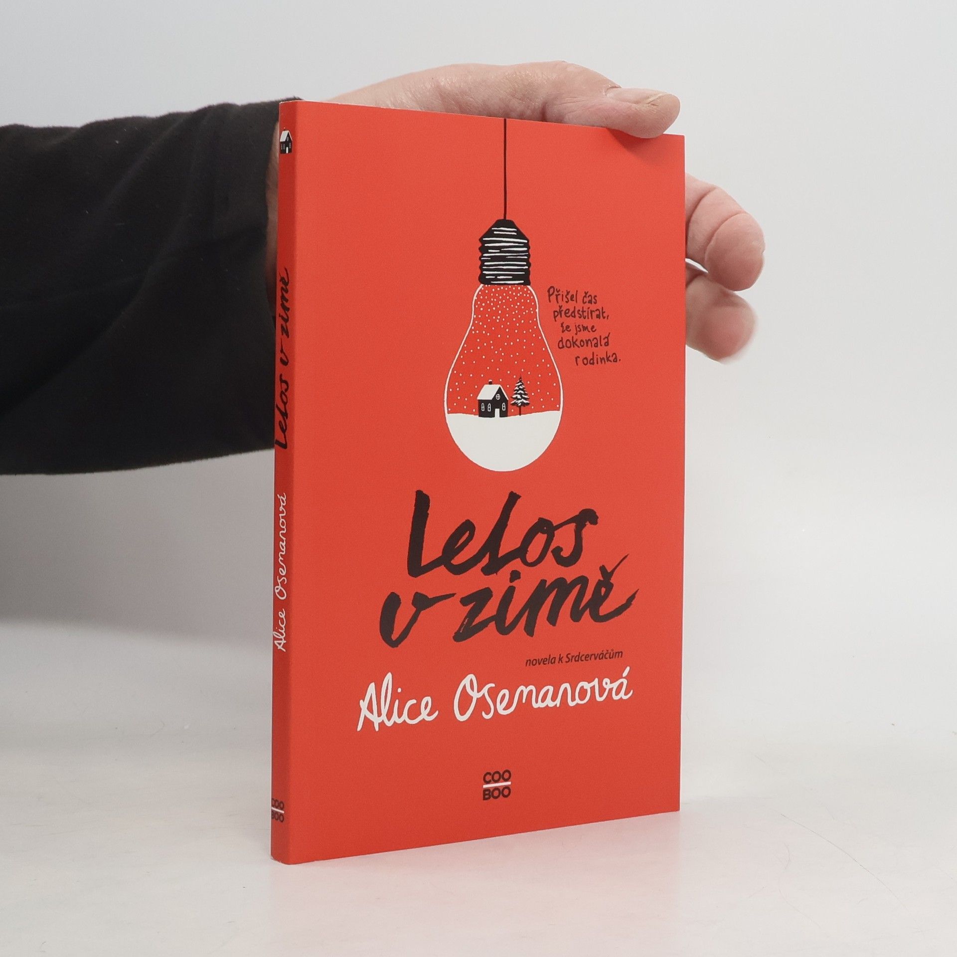 Alice Oseman Letos v zimě. Novela k Srdcerváčům