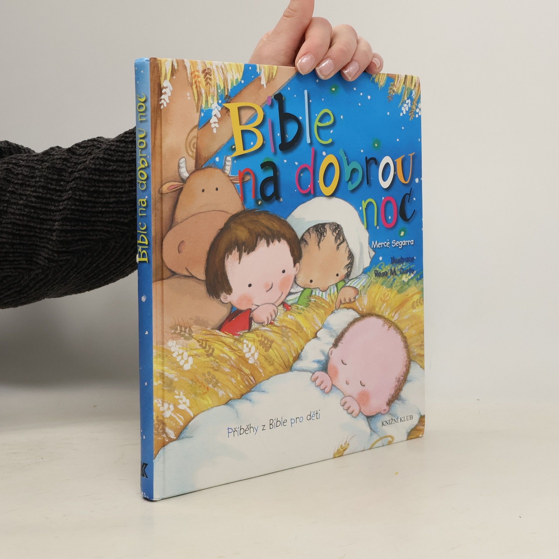 Mercè Segarra Bible na dobrou noc : příběhy z Bible pro děti