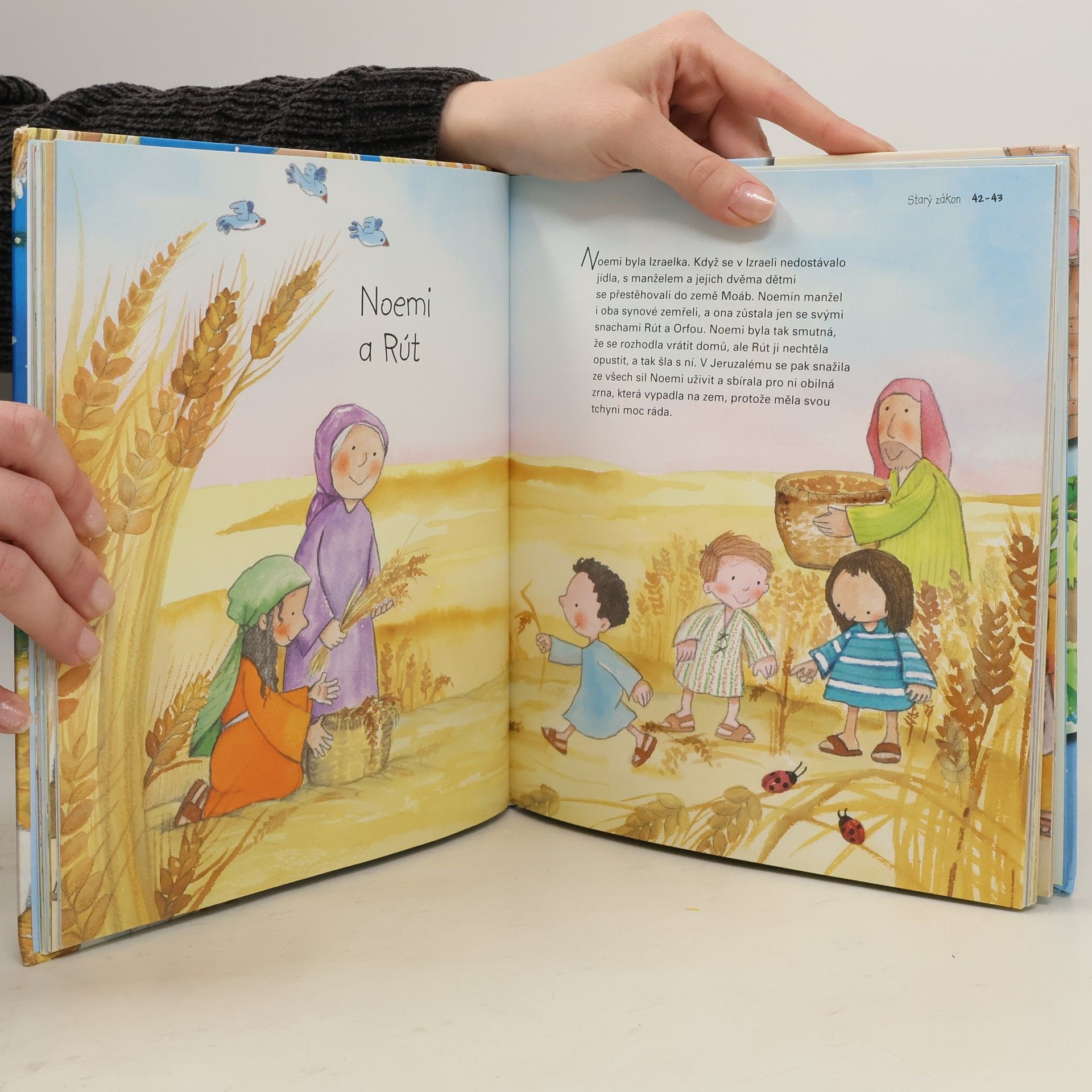Mercè Segarra Bible na dobrou noc : příběhy z Bible pro děti