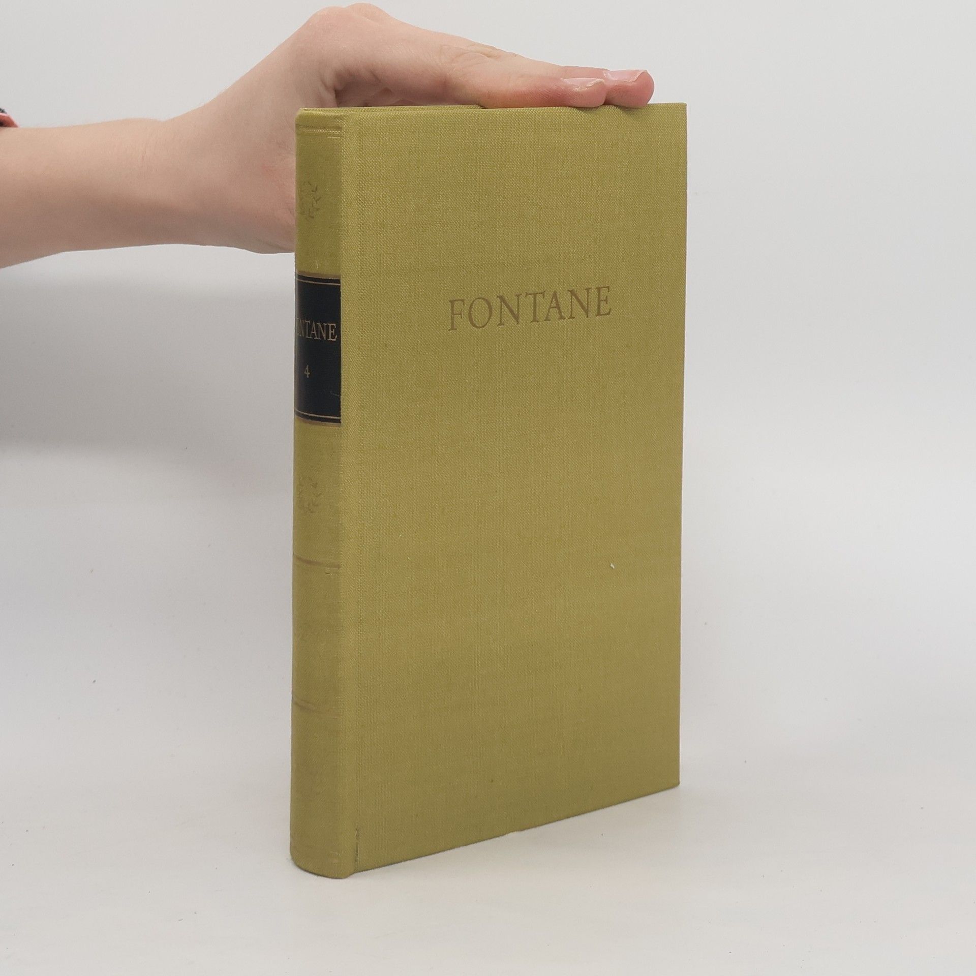 Theodor Fontane Fontanes Werke 4