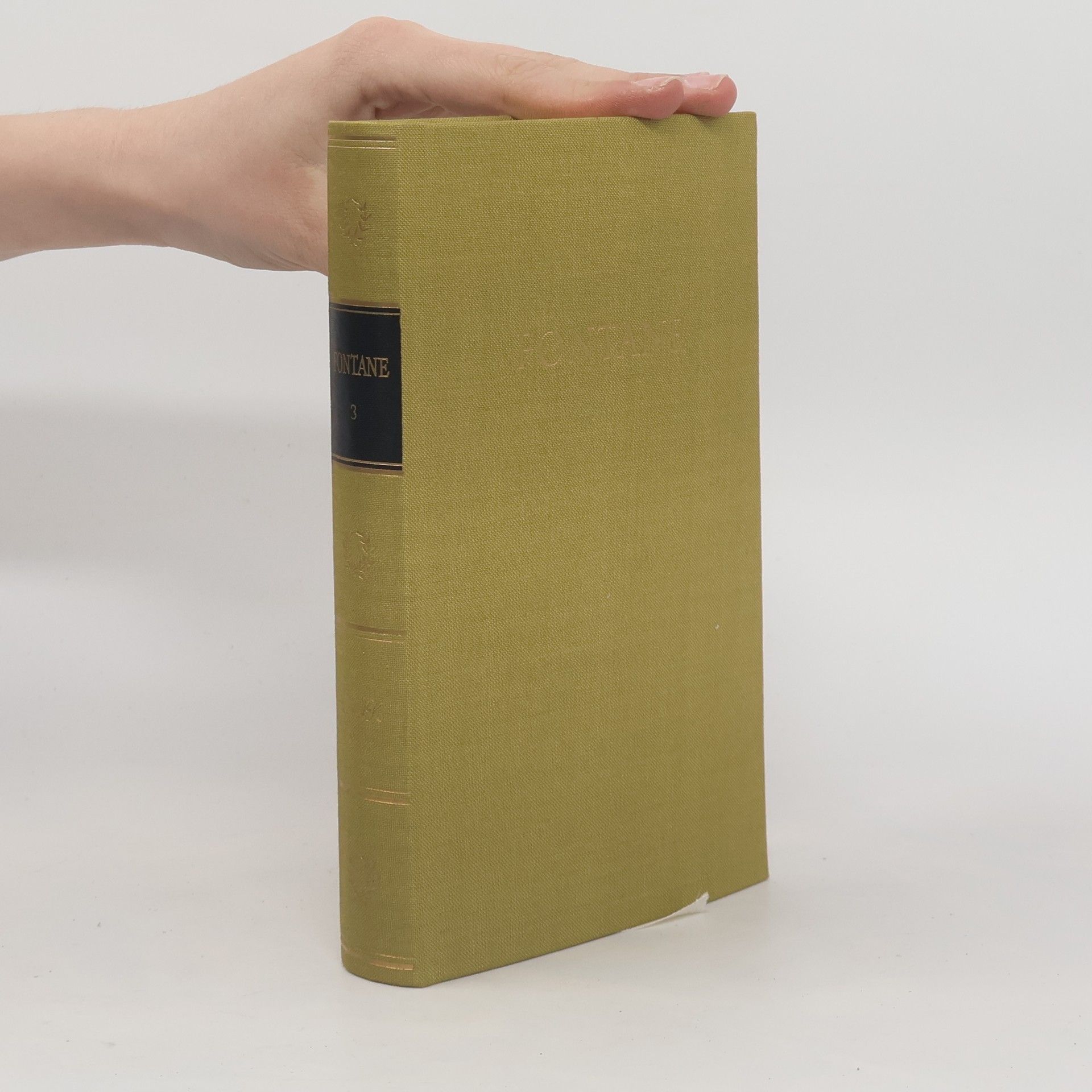 Theodor Fontane Fontanes Werke 3