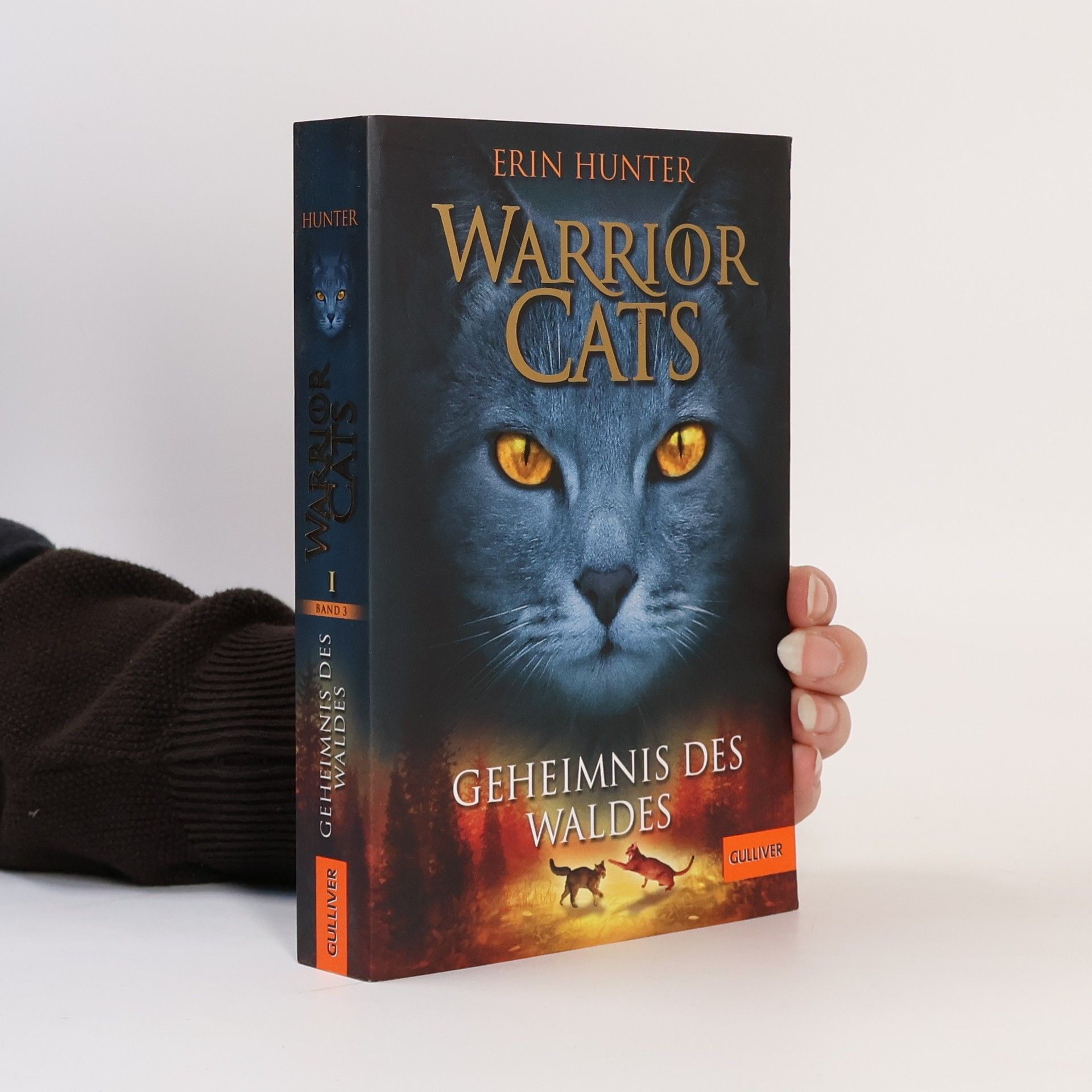 Erin Hunter Warrior Cats. Geheimnis des Waldes