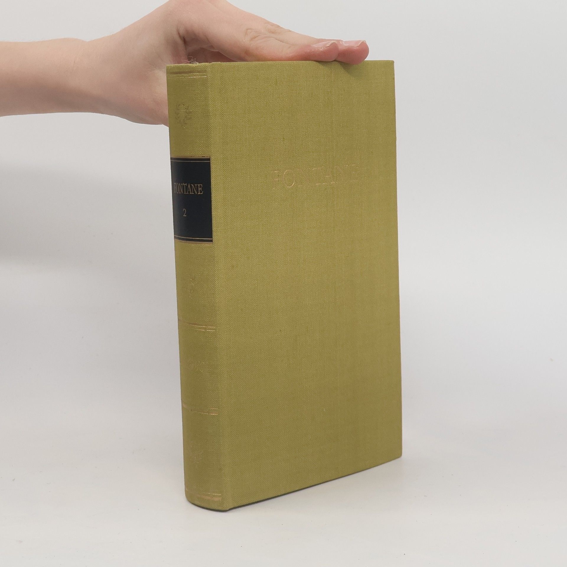 Theodor Fontane Fontanes Werke 2