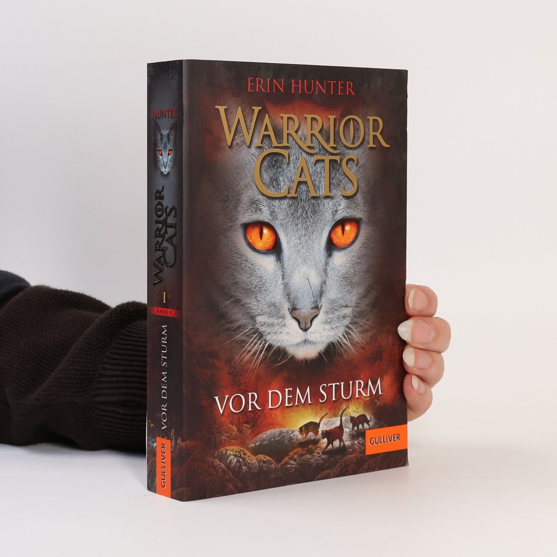Erin Hunter Warrior Cats. Vor dem Sturm
