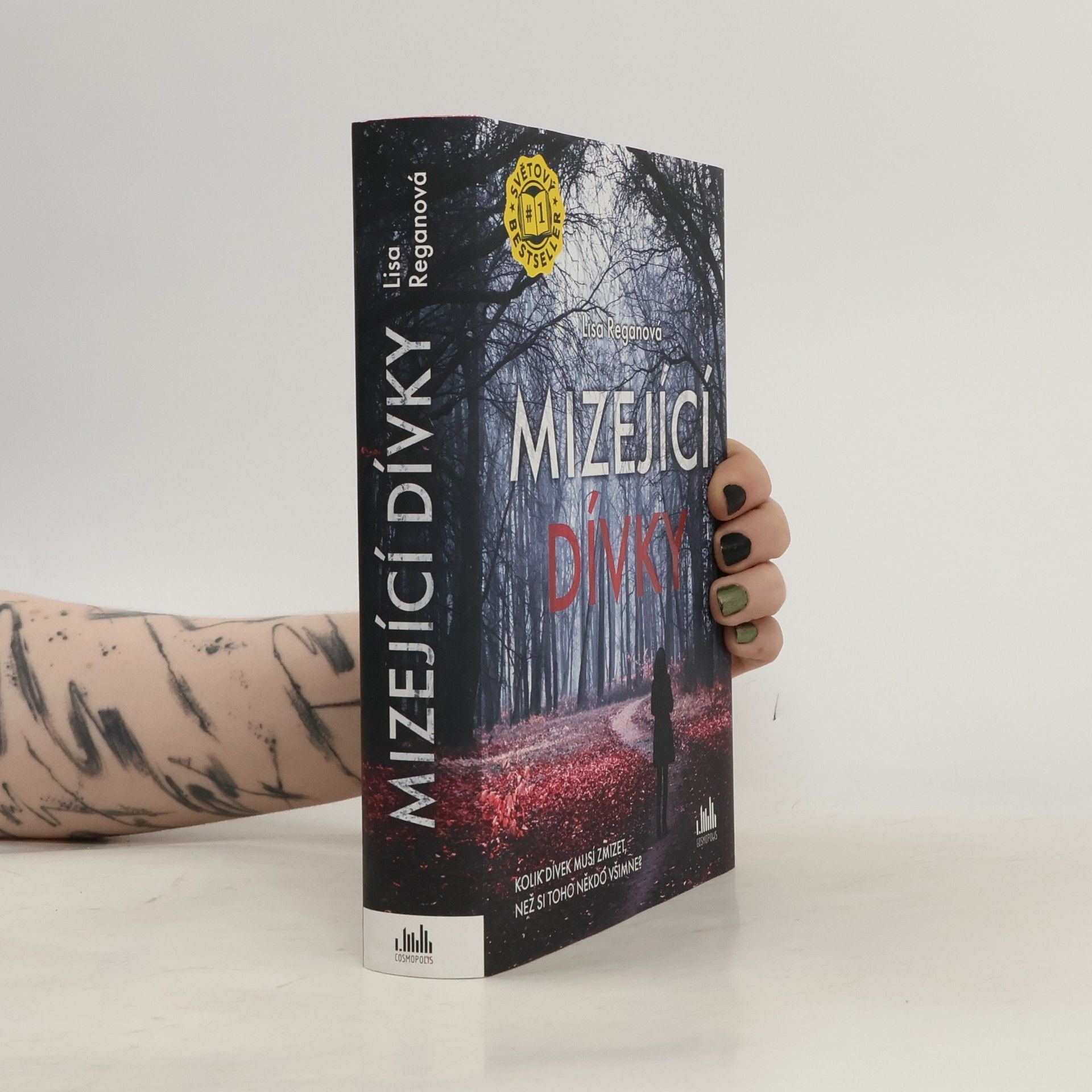 Lisa Regan Mizející dívky