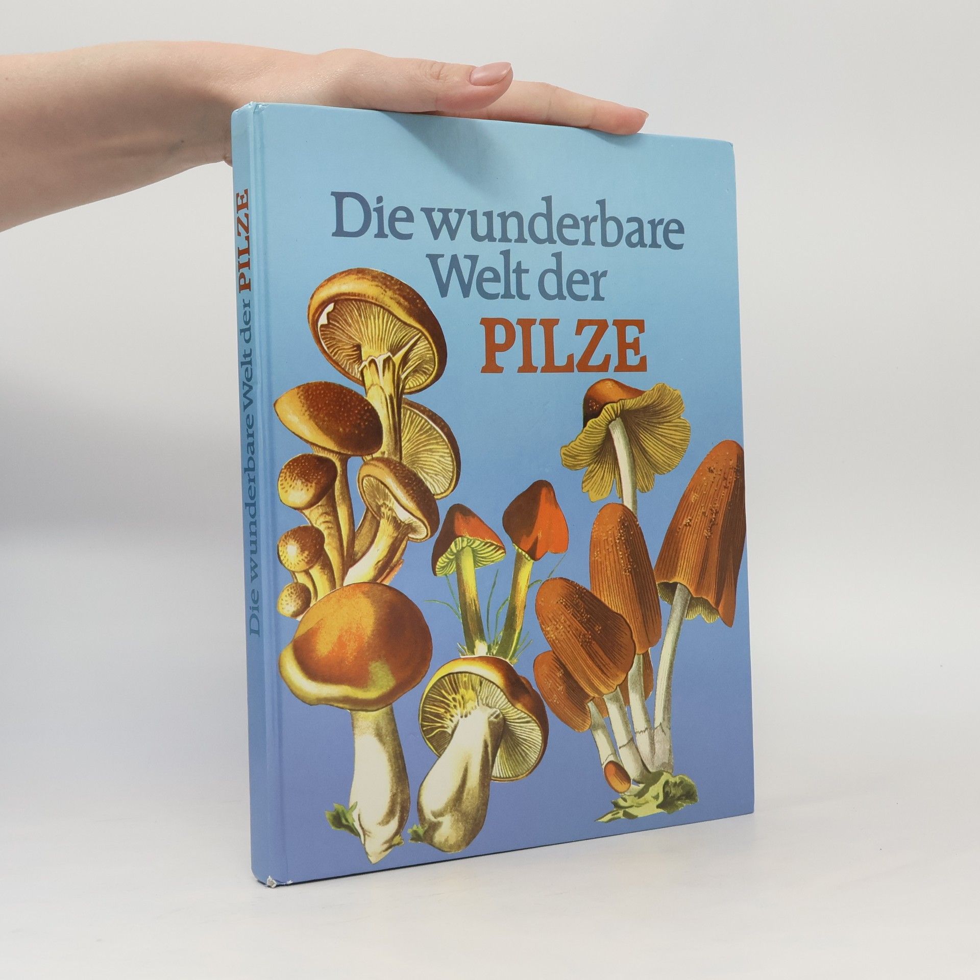 Gianni Gozzi Die wunderbare Welt der Pilze
