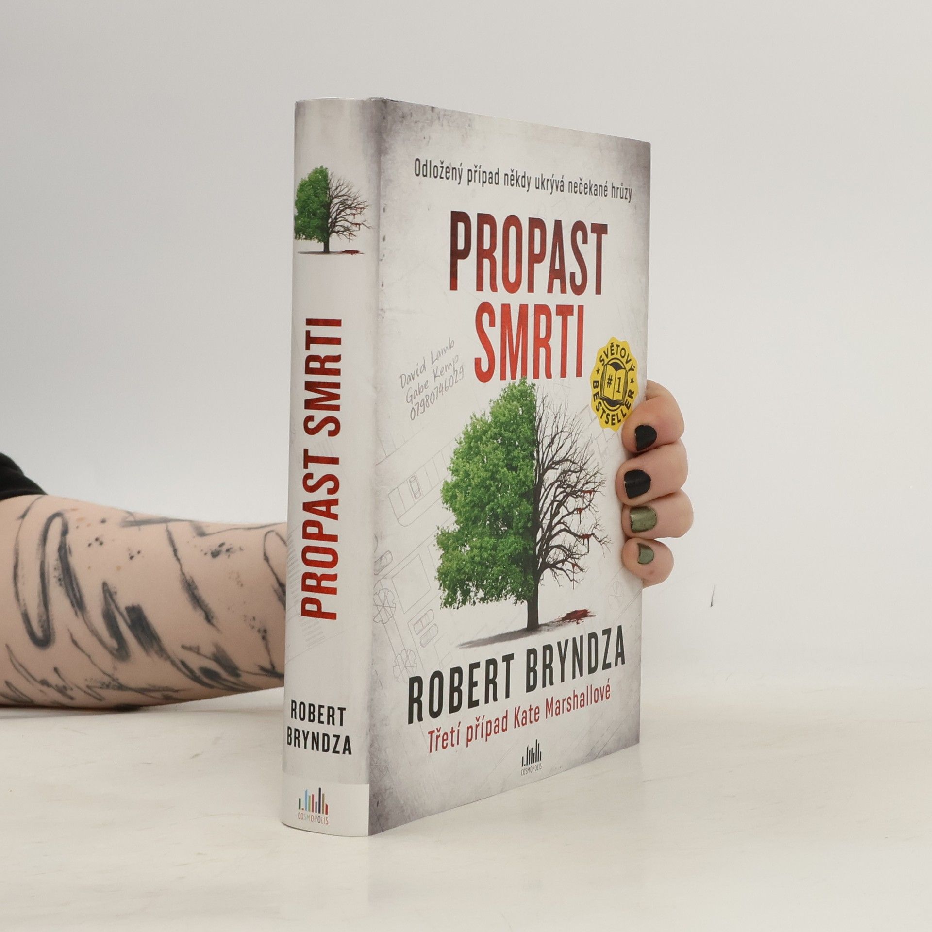 Robert Bryndza Propast smrti