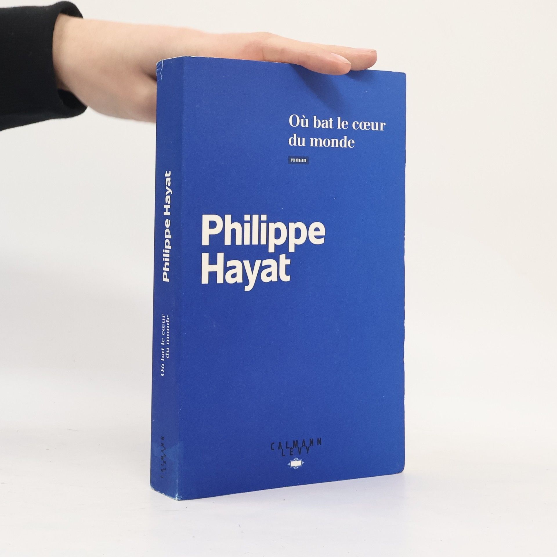 Philippe Hayat Où bat le cœur du monde