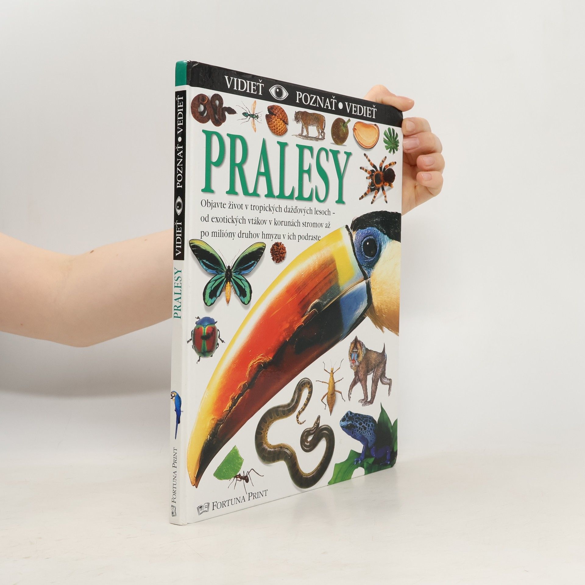 Theresa Greenaway Pralesy