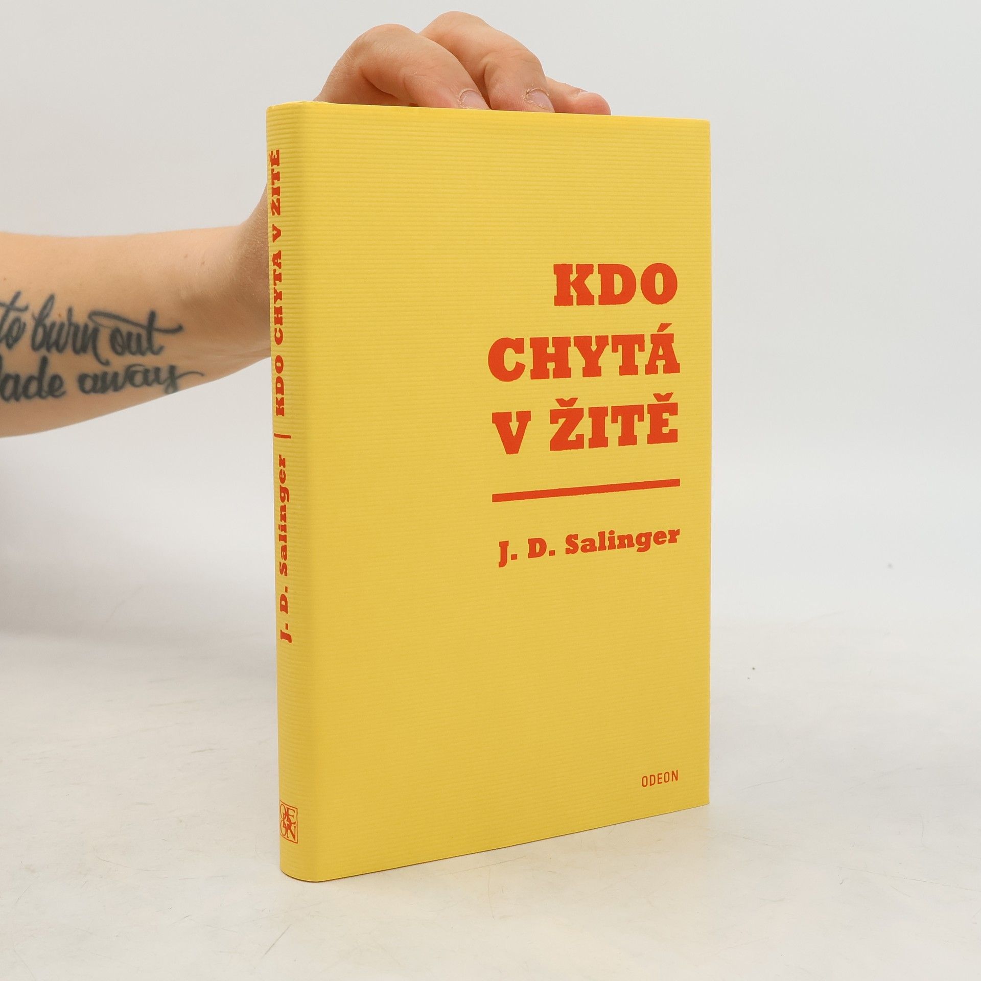 J. D. Salinger Kdo chytá v žitě
